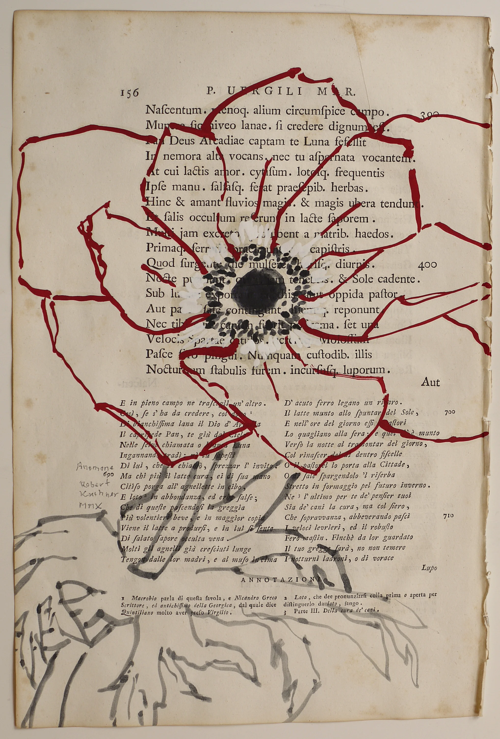 Anemone, 2010