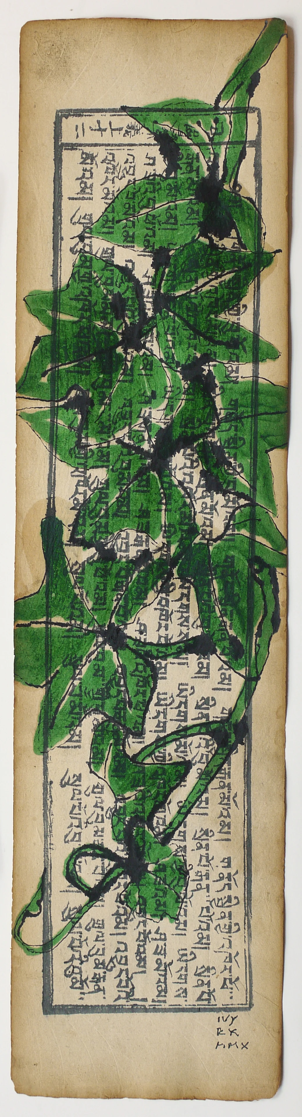 Ivy, 2010