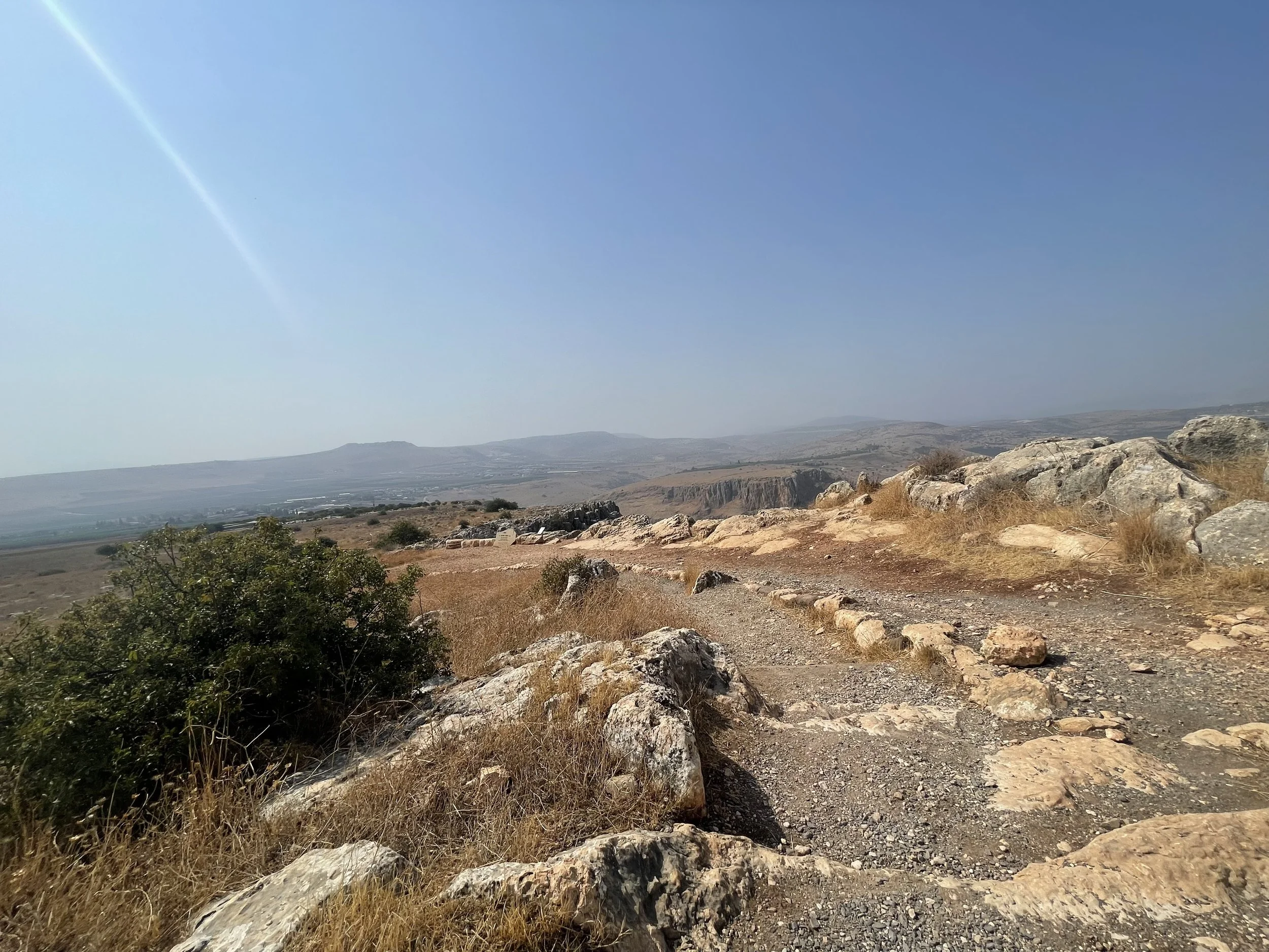 IMG_7655.jpeg