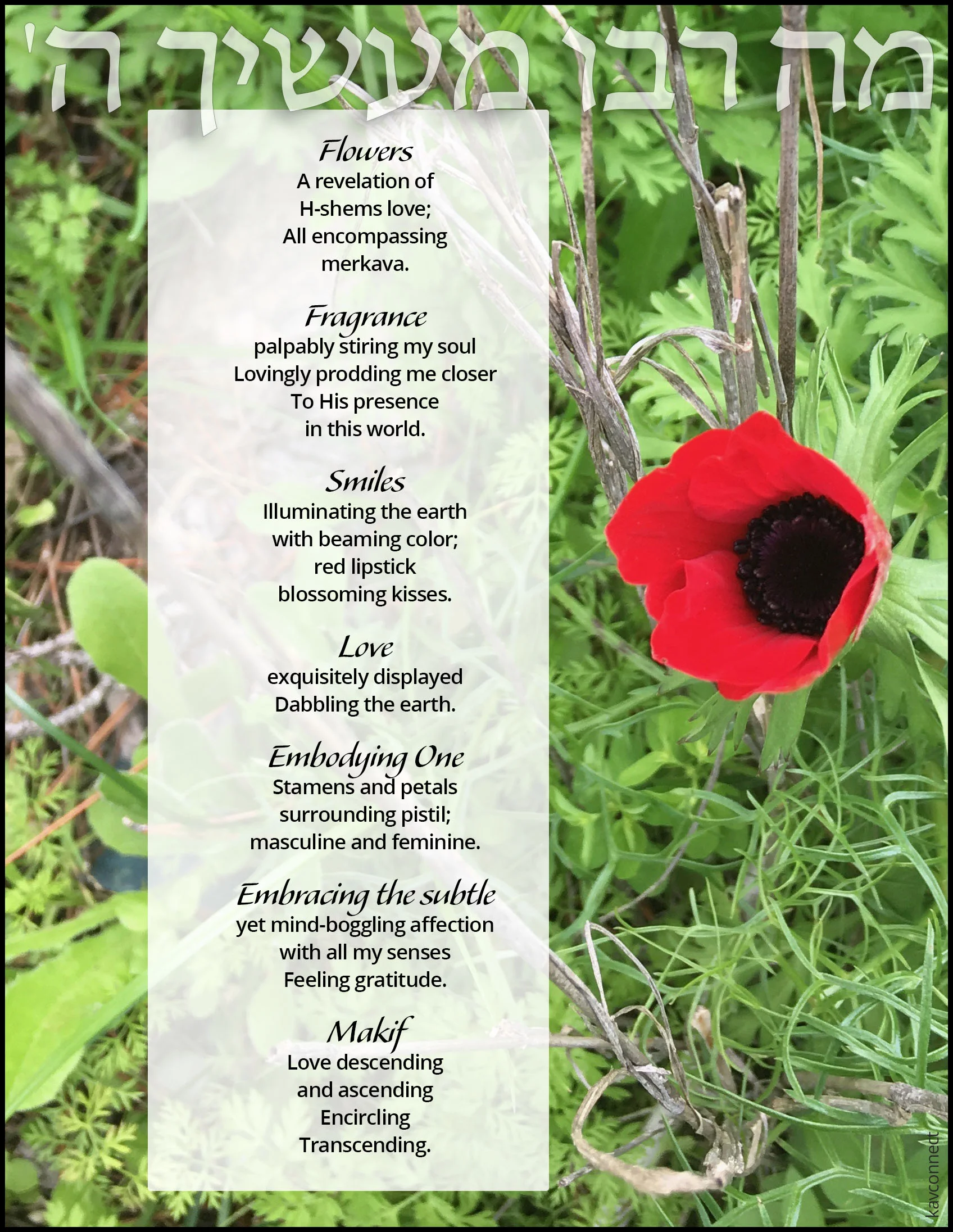 flower poem.jpg