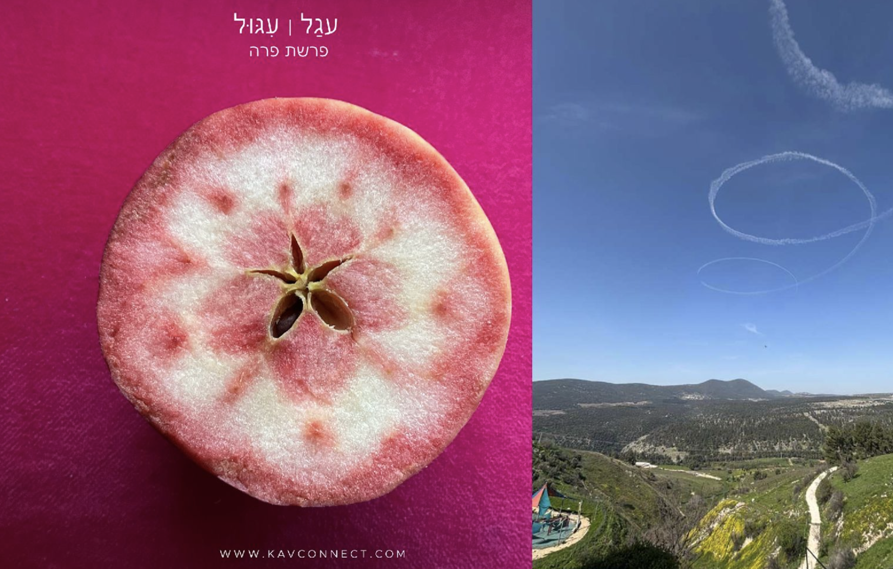 On Circles &amp; Calves עגַל | עִגּוּל