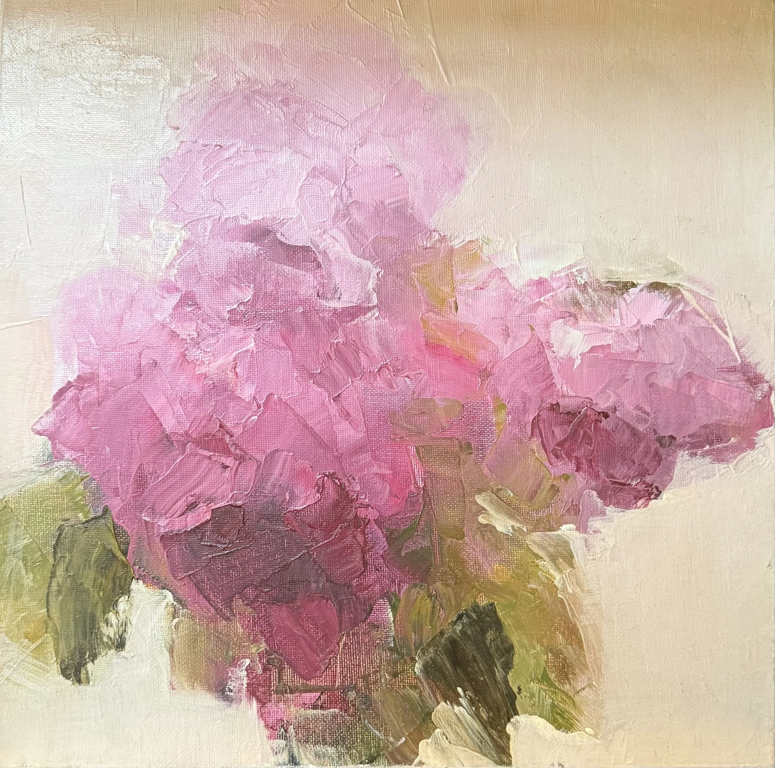 Peony Study, 12" x 12" by Heather Sayeau