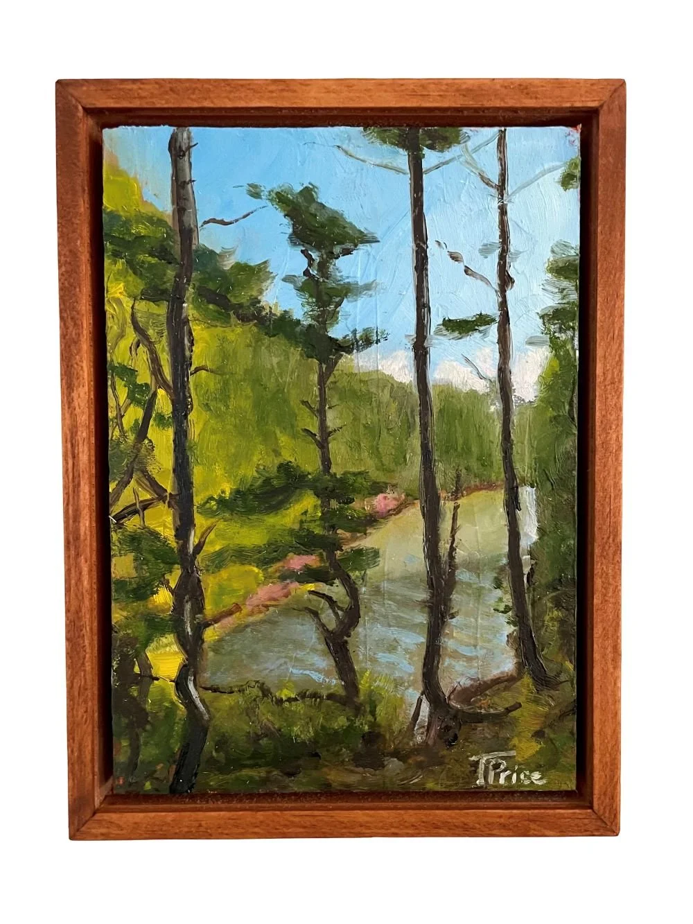 ThroughThePines (1).jpg