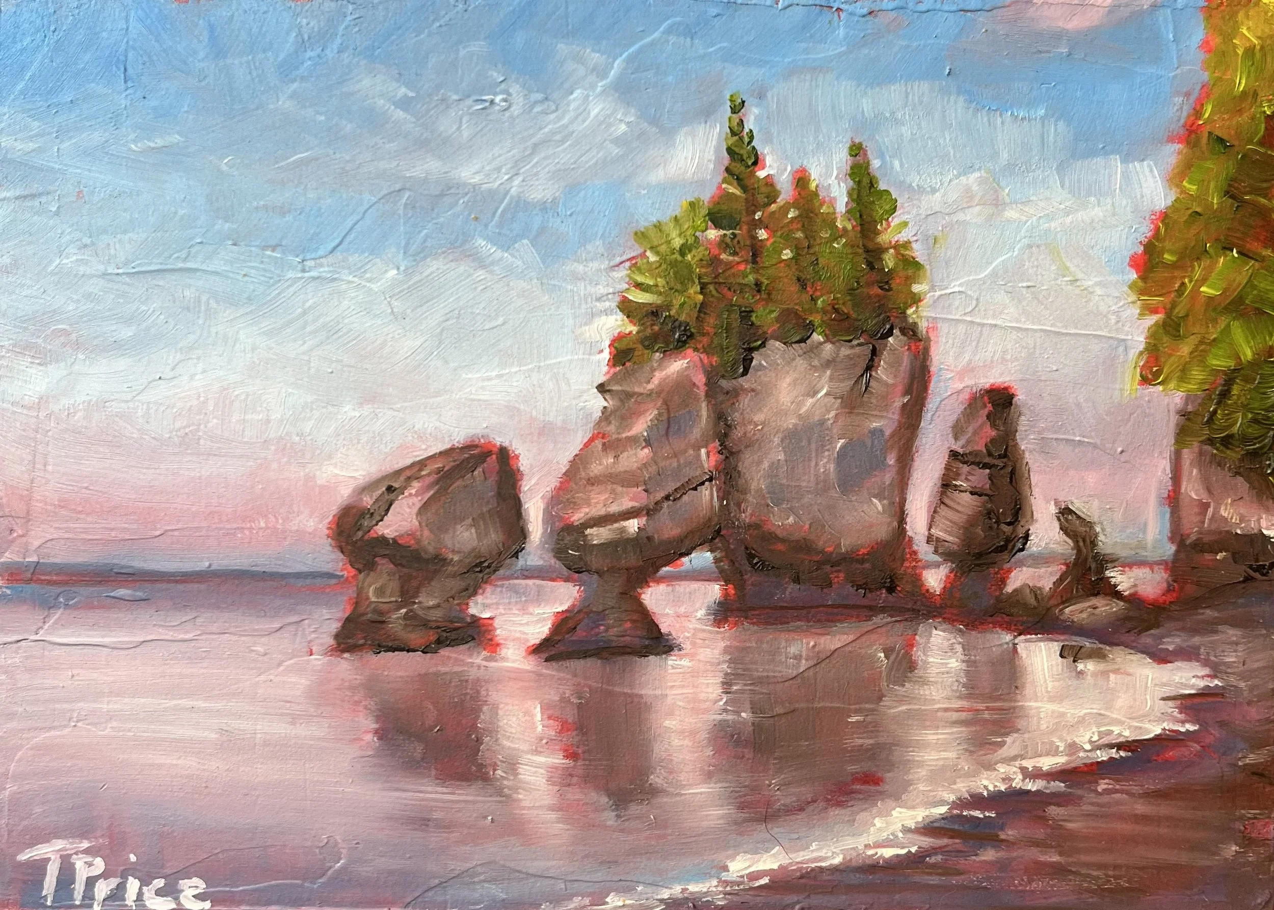 Hopewell Rocks.jpeg