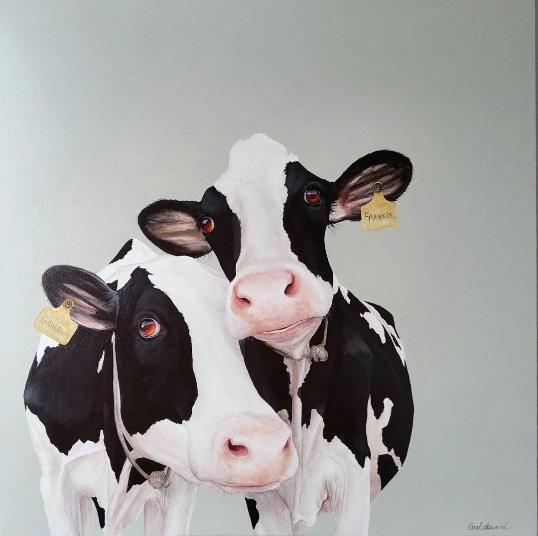 Besties,(Grace&Frankie) no. 362, 30''x30'' Acrylic on canvas, Carole Lessard.jpg