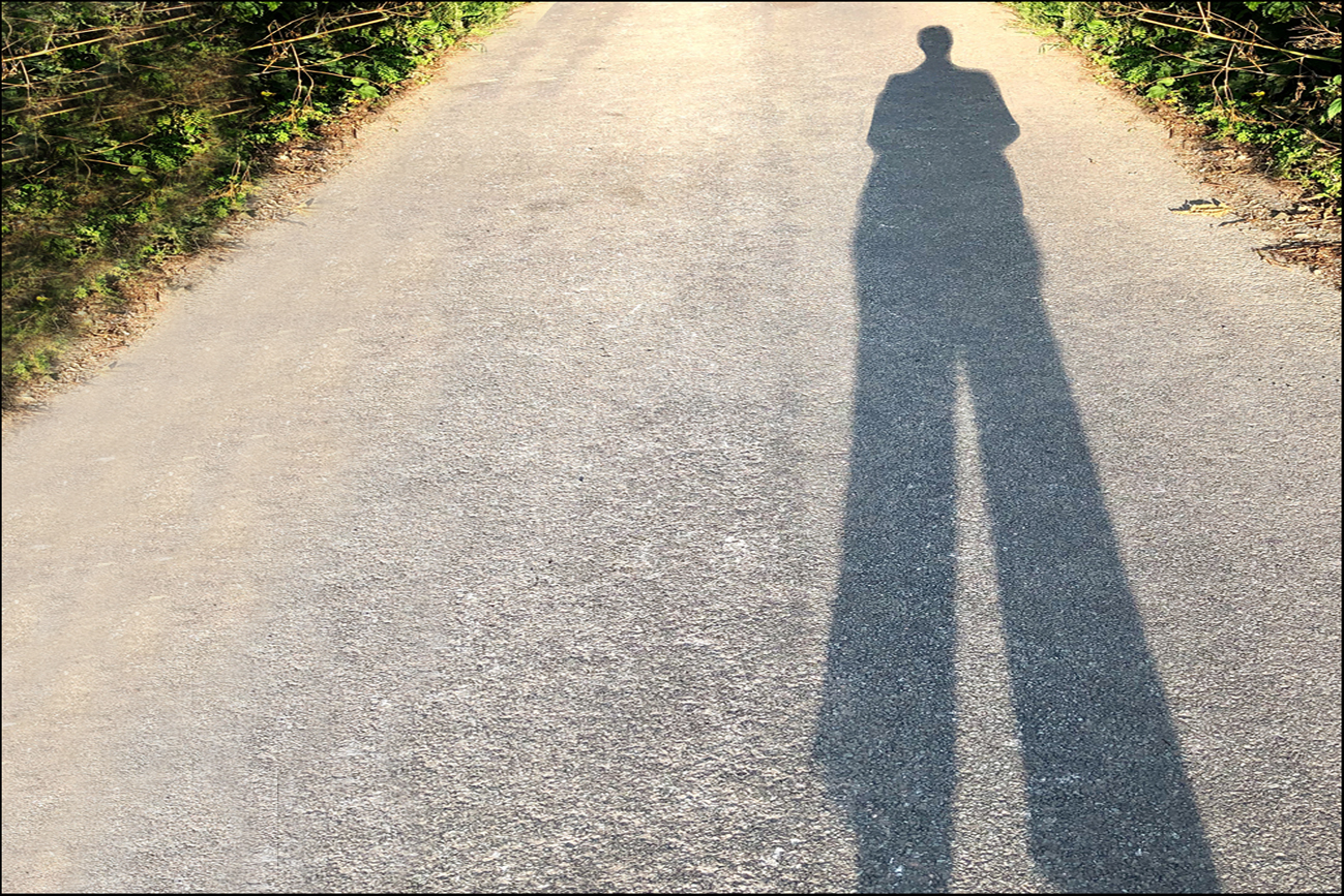 Granny-Long-Legs