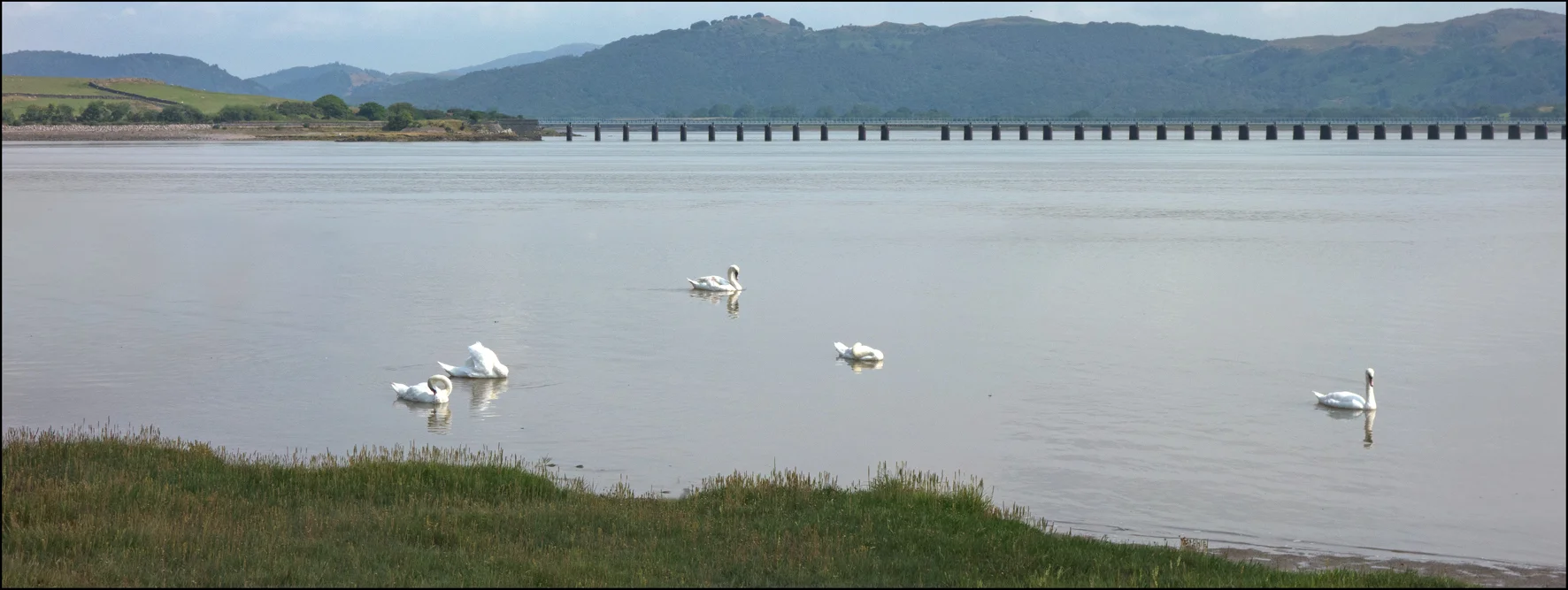 I am the Goldilocks of the duvet!