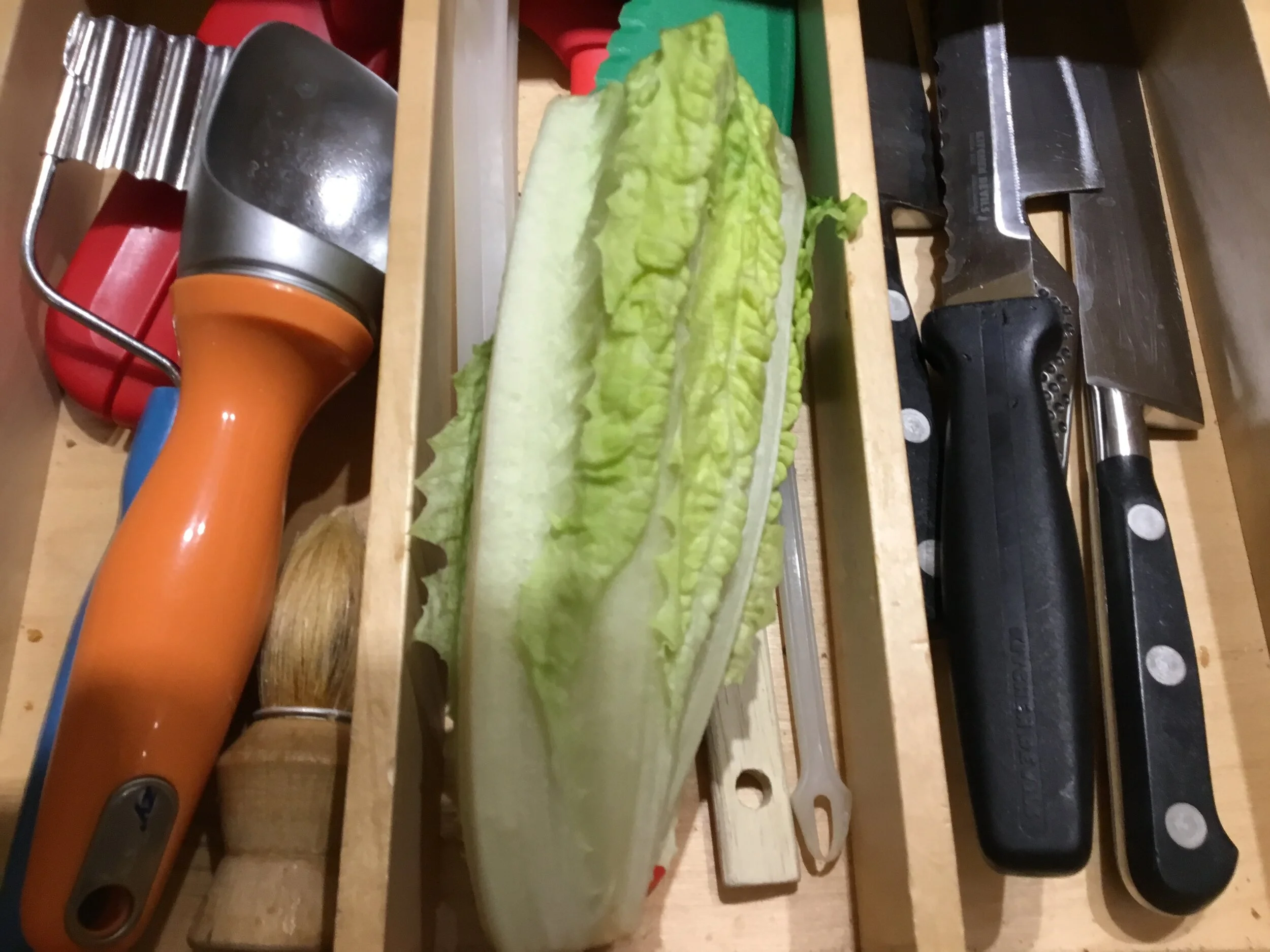 LETTUCE IN THE KNIFE DRAWER