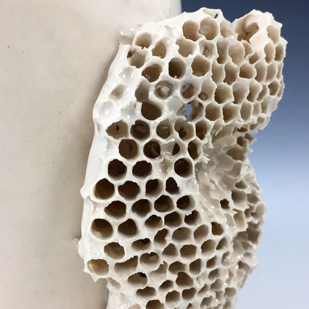 IMAGE3+(1).jpg