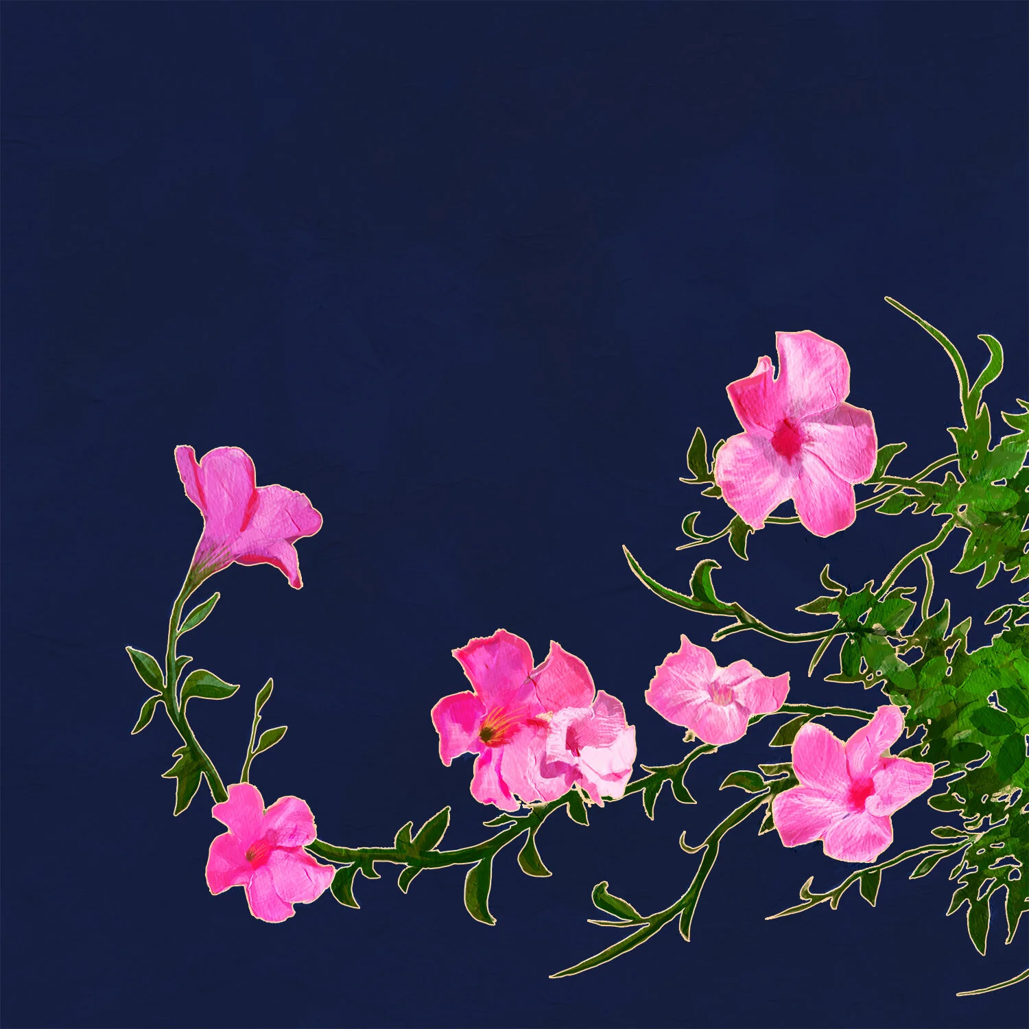 Proper album 1 front cover