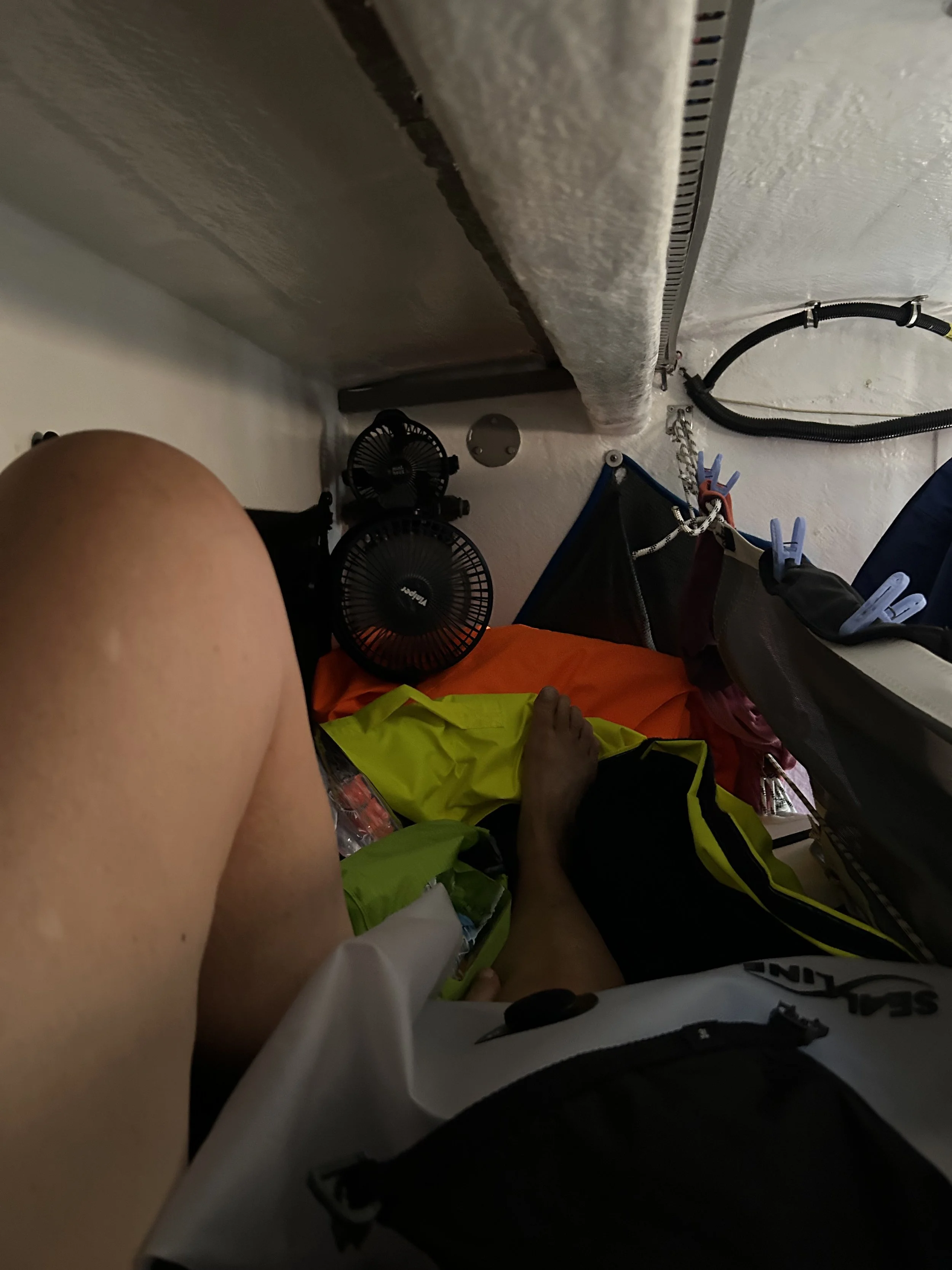 IMG_4721.jpeg