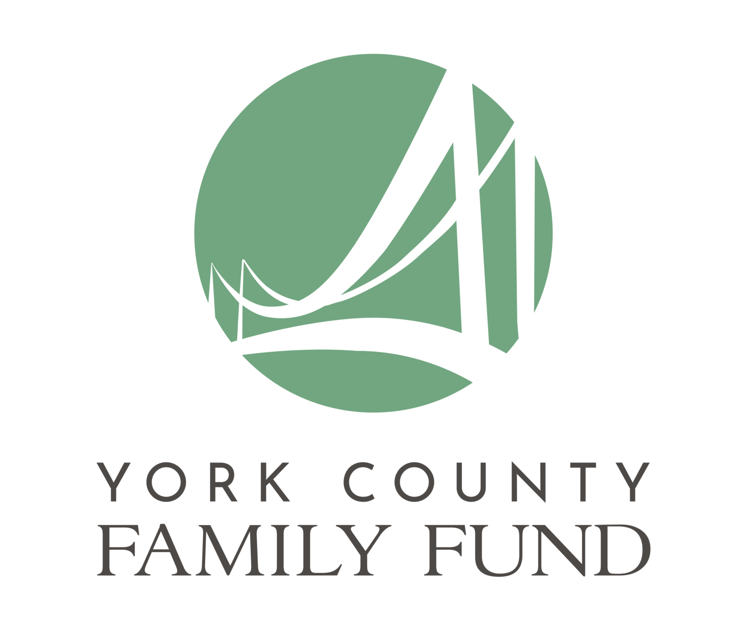 York County Family Fund