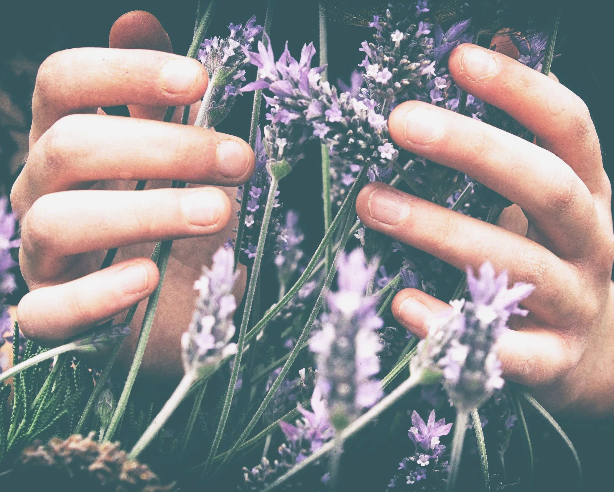 Integrative Shamanic & Aromatherapy Sessions
