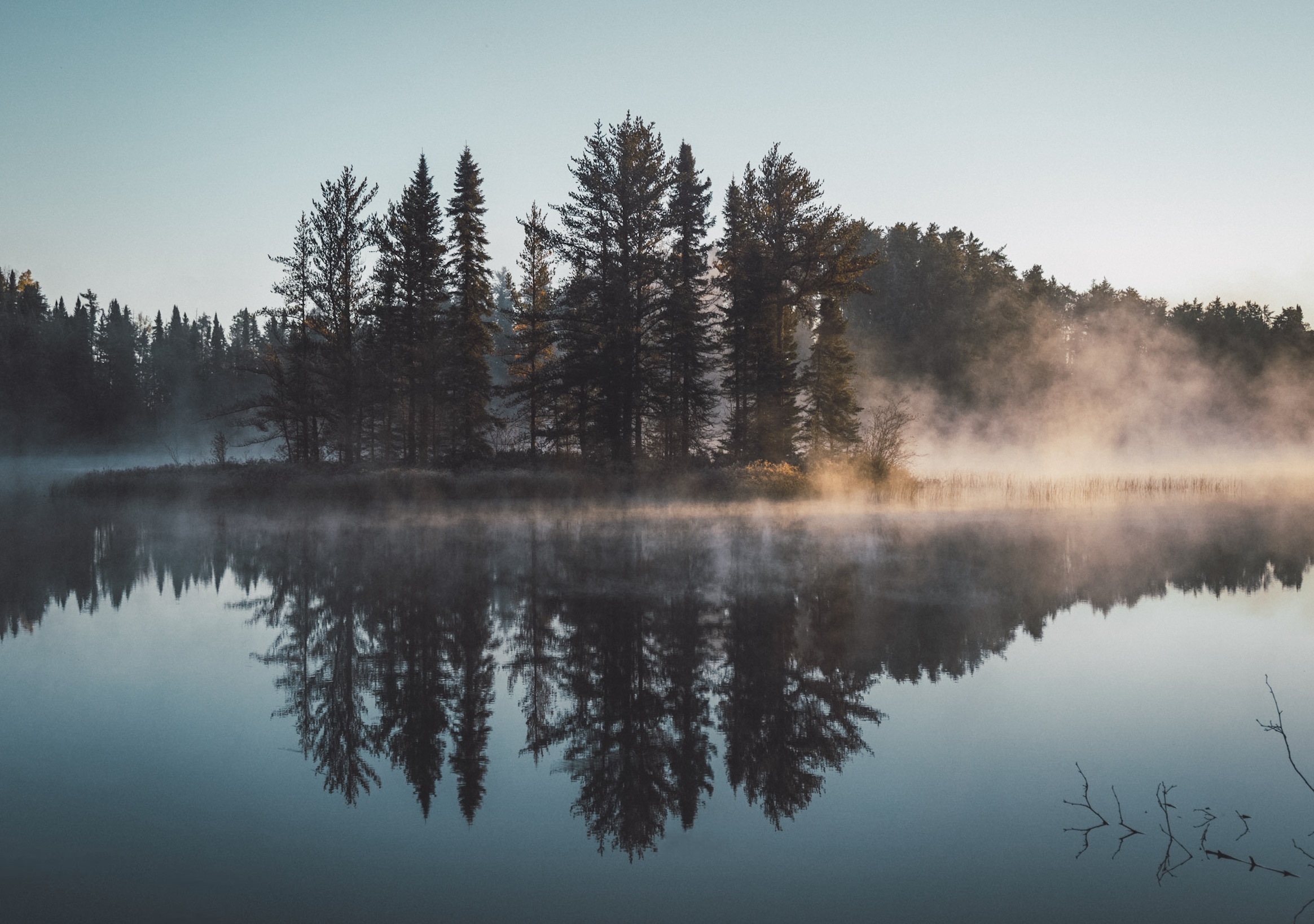 Right relationship with nature - rewilding