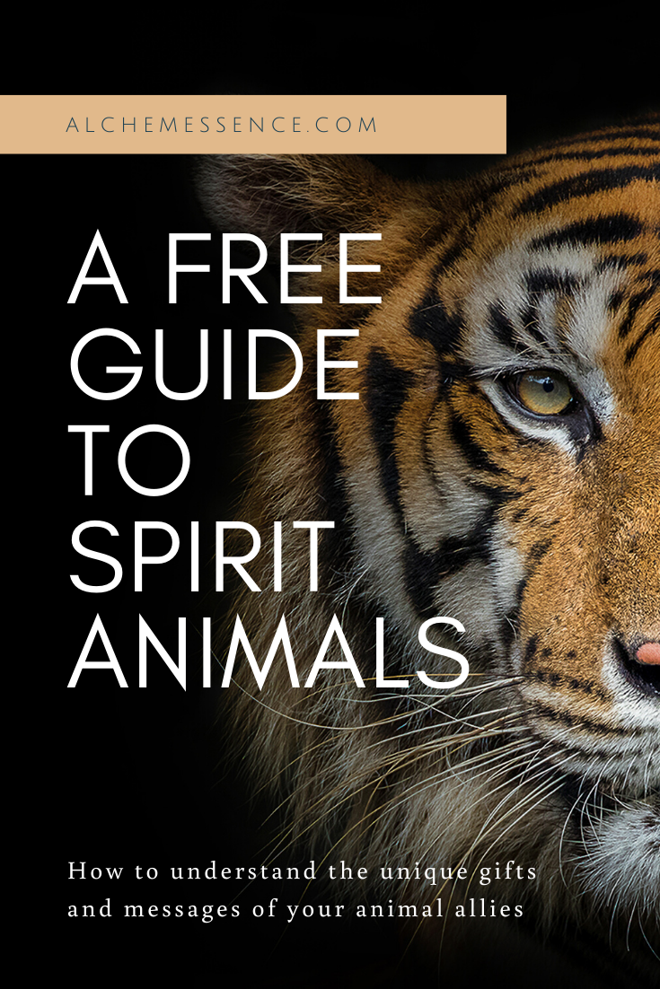 Who is your Spirit Animal? A 4-Step Guide for Understanding Our Animal  Allies — Alchemessence™