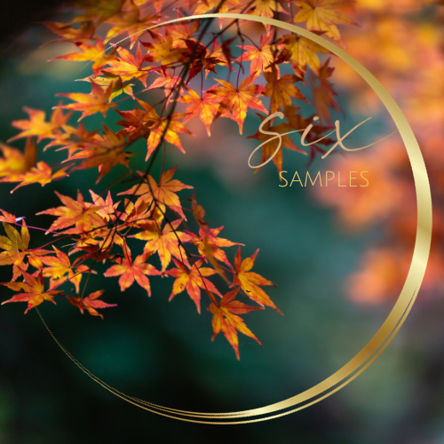 Scents for Autumn Discovery Set
