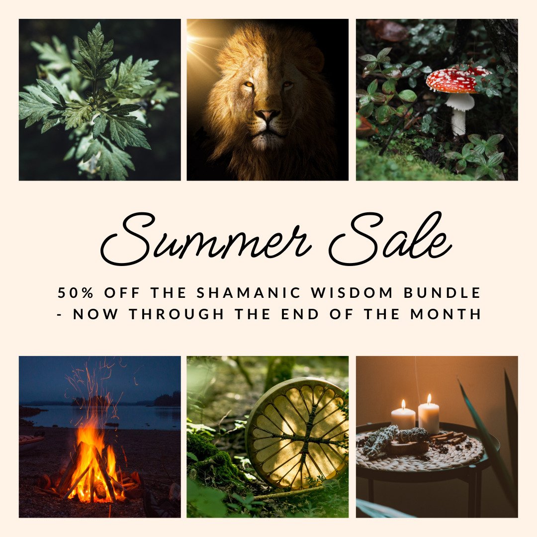 Happy Solstice Everyone! Let's partner with the spirits of nature to create a more well world for all of us. To help...

Right now through the end of the month, you can save 50% on my shamanic wisdom bundle. 

This includes the full Introduction to S