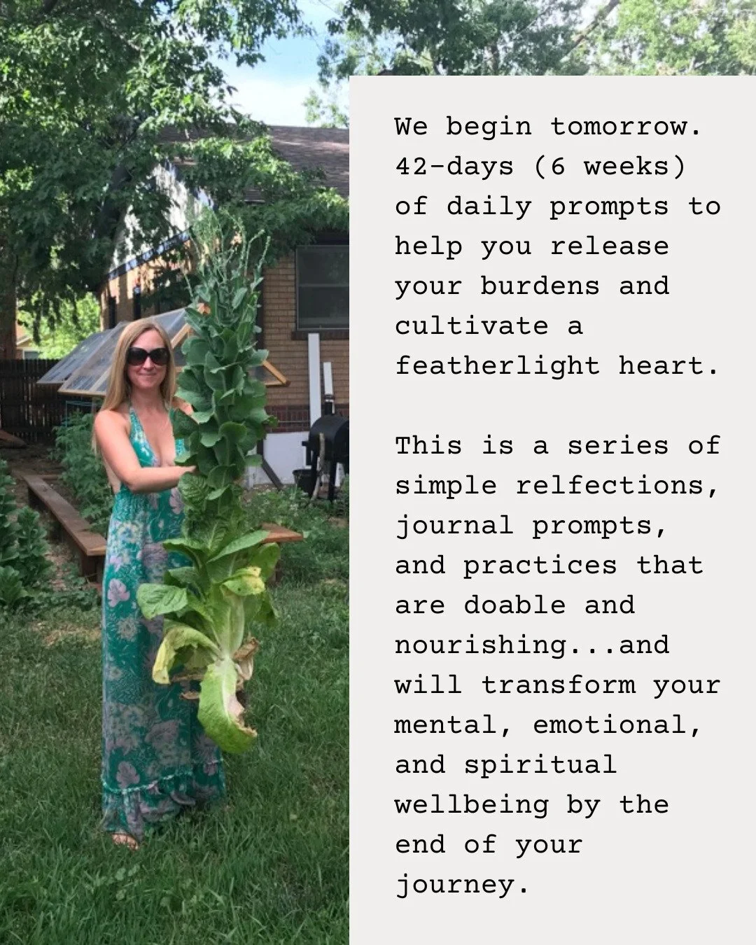We begin tomorrow. 42-days (6 weeks) of daily prompts to help you release your burdens and cultivate a featherlight heart. 
This is a series of simple relfections, journal prompts, and practices that are doable and nourishing...and will transform you