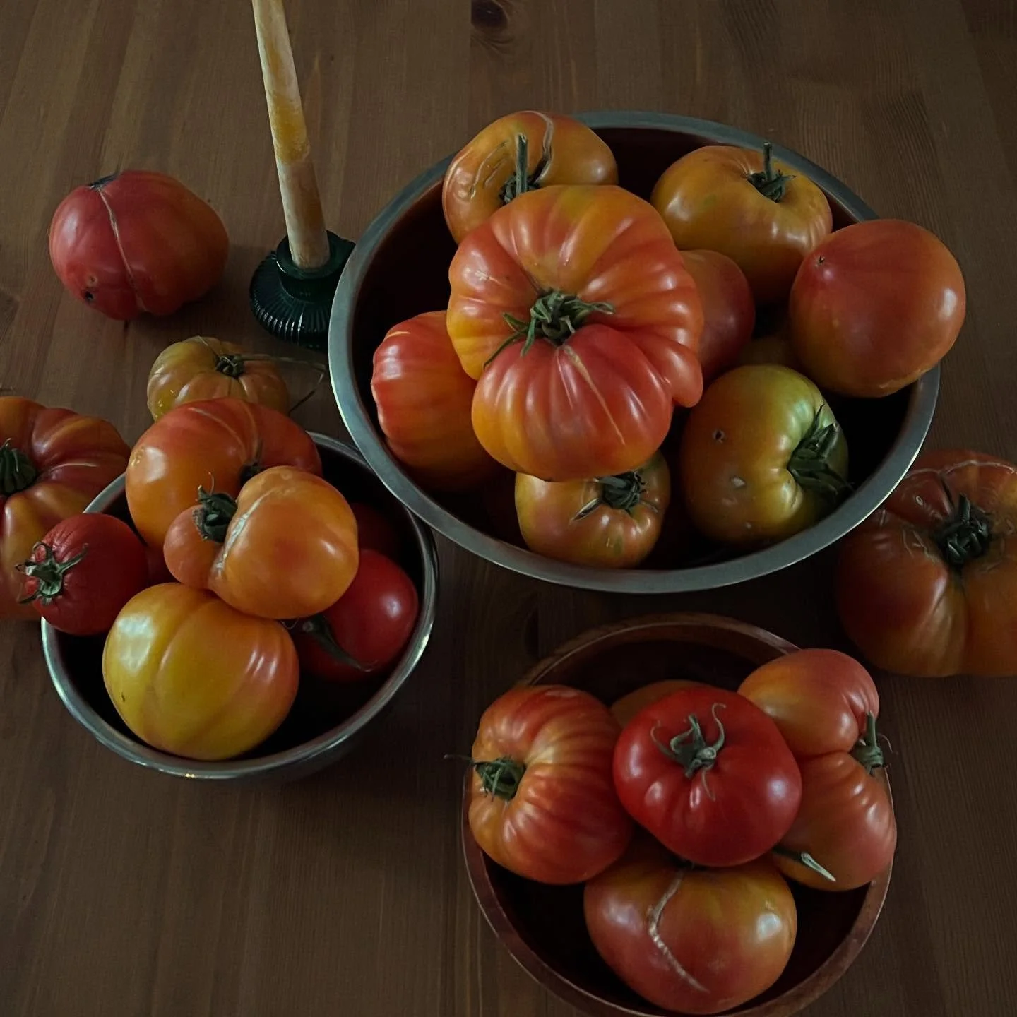 Three years bringing our soil back from the dead, talking to the spirits of the land&hellip;and this year&rsquo;s reward! A small fraction our harvest 🍅

Learn my land rituals in the free wild al he ritual guide&mdash;in bio!

#tomatoseason #harvest