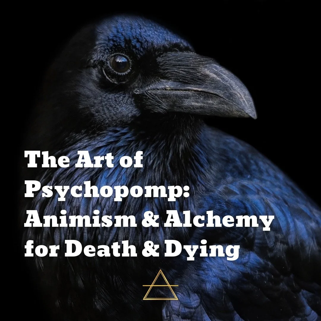 Just a few spots left in my upcoming psychopomp class! 
Reminders: 
💀this is online &amp; there will be replays
💀you will learn anointing protocols to support the work
💀we'll have a small group with individual attention
💀we start October 16
Sign 