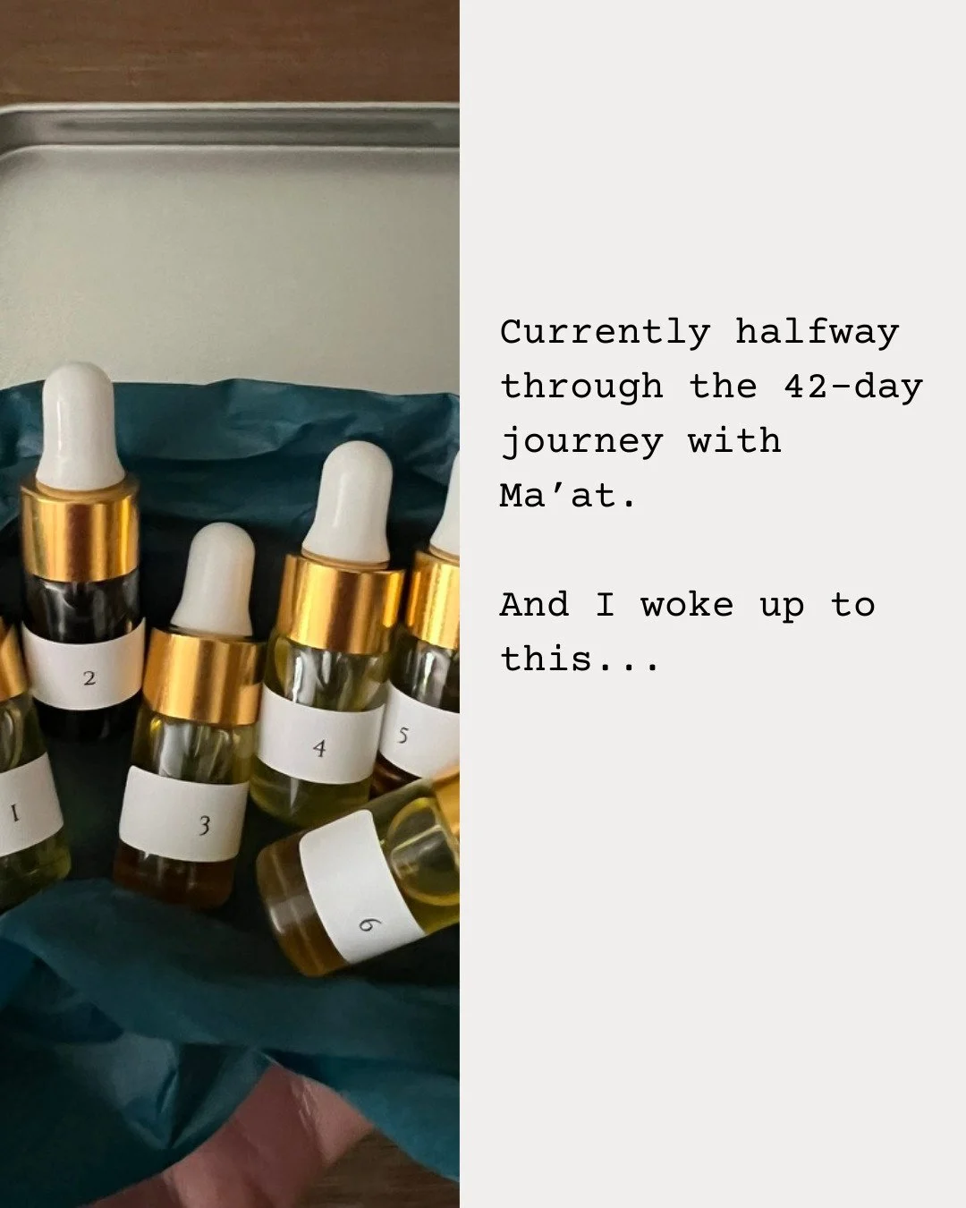 Currently halfway through the 42-day journey with Ma&rsquo;at.

And I woke up to this...

&ldquo;Just wanted you to know how transformative and beautiful this journey has been for me so far. Love love love it so much. The delight each morning of this