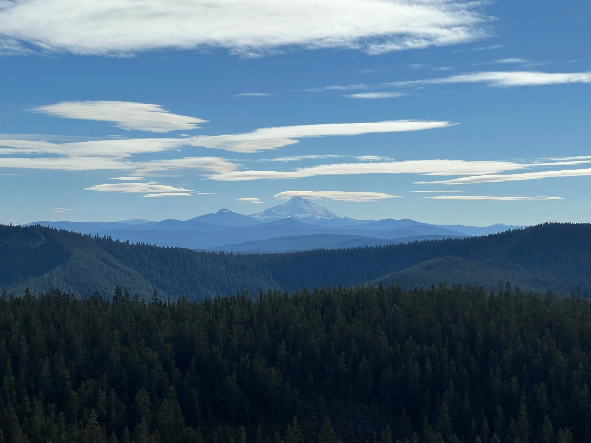 I’m pretty damn sensitive to what I consume. Like gluten.
A sickly toddler with pale skin and purple rings under my eyes, I cried all the time. If something touched my skin in an uncomfortable way, I would scream (or so I’m told). When m