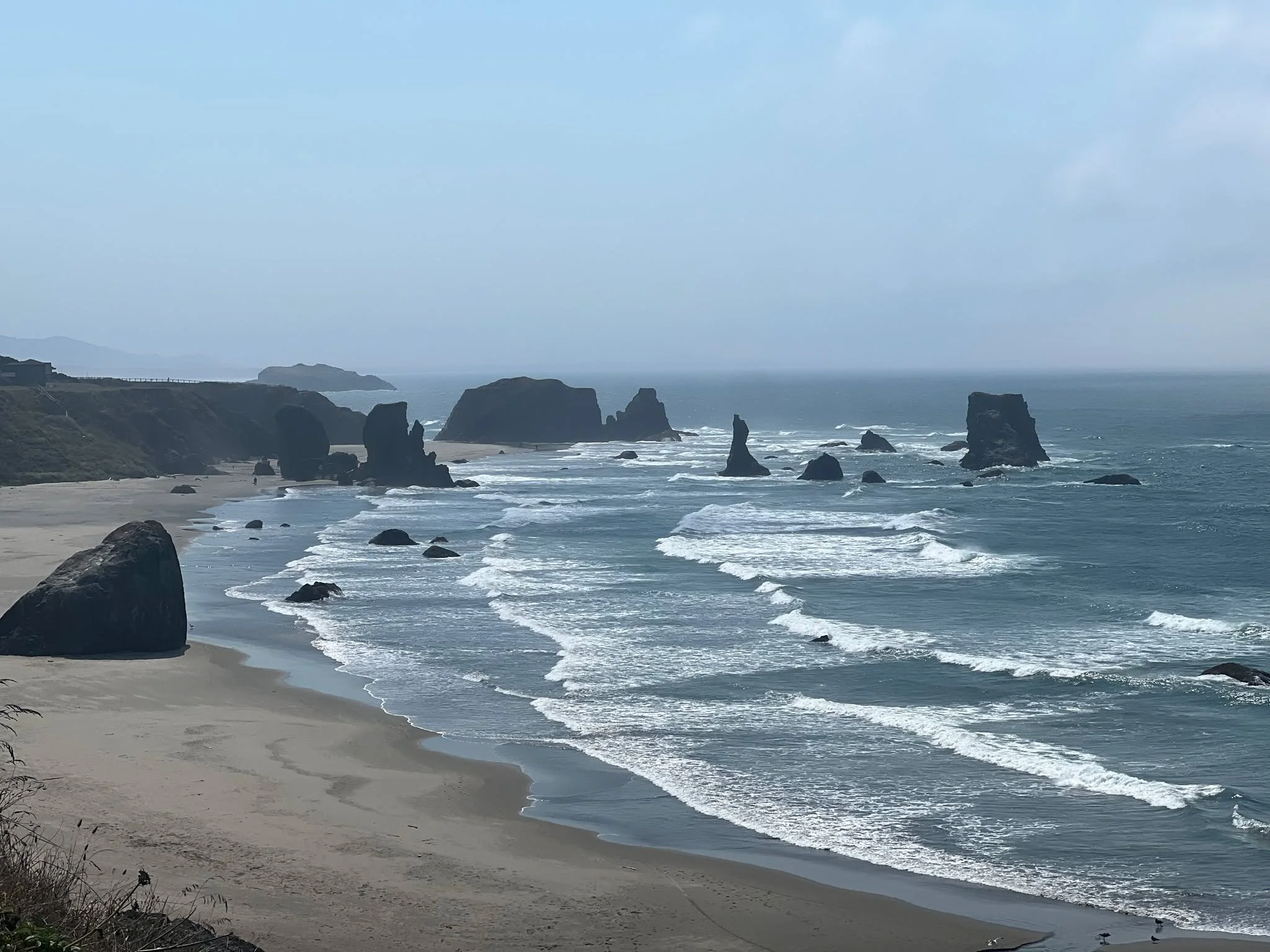 When I created my WATER elemental anointing oil, I wanted to include true aquatic plants...

And I did. Can you guess which ones? 

White lotus. Seaweed.

White lotus is the most sacred embodiment of the water element, connecting us to our intuition,