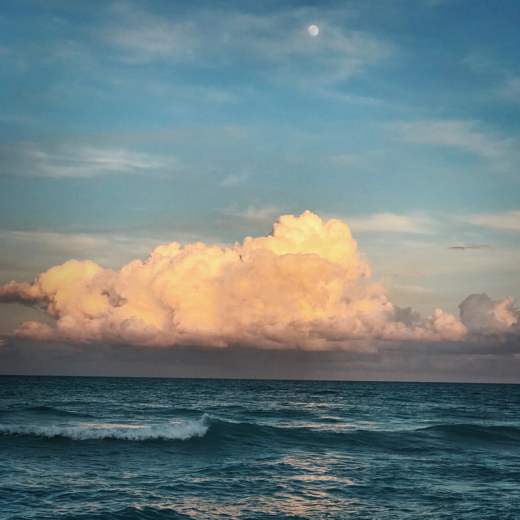 What is the scent of air? 

In truth, air is the carrier of fragrance itself, the winds bringing aromatic molecules to our noses, whereupon our brains translate these messengers to scent. 

For me, the breath itself is air. And TREES are the medicine