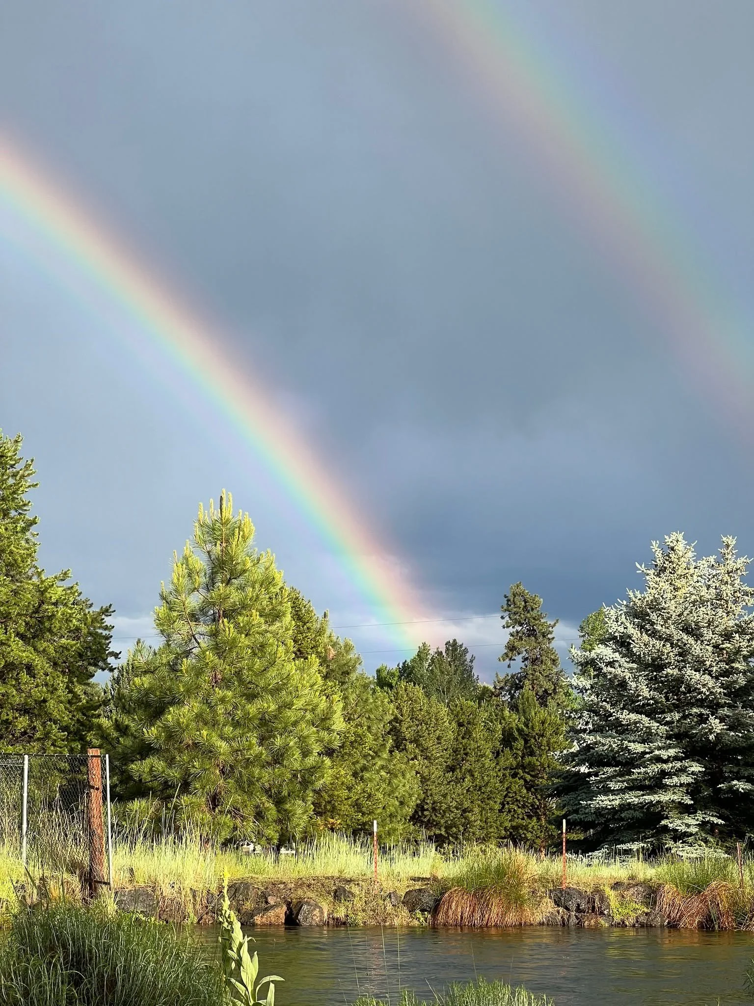 What is ether, or aether as the ancients wrote? 

Ether is the quintessence, the spiritual fabric that holds all other elements together. 

Ether is our bridge to the sacred dimensions of life. 

And creating this Ether Element Oils was a divinely le