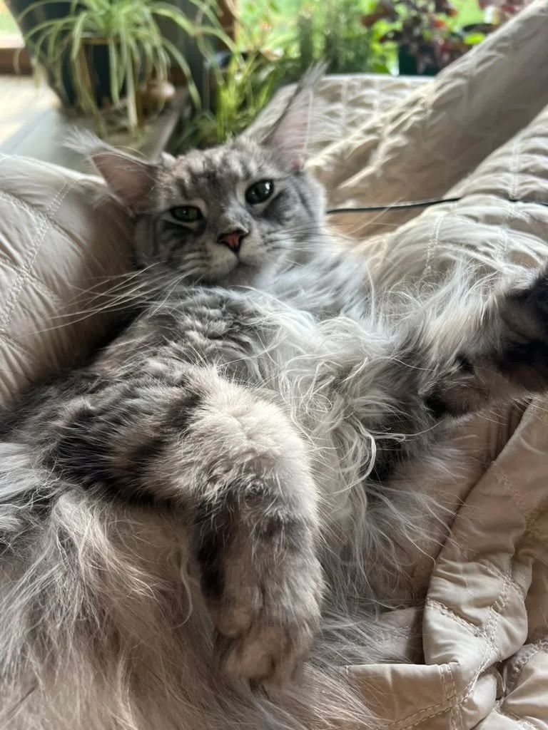 Last weekend I went to our local &ldquo;fill your pantry&rdquo; event in Central Oregon. It&rsquo;s awesome. All the small farms of the area gather for a last haul extravaganza.

My fridge is now filled with soooo many sweet potatoes, onions, cabbage