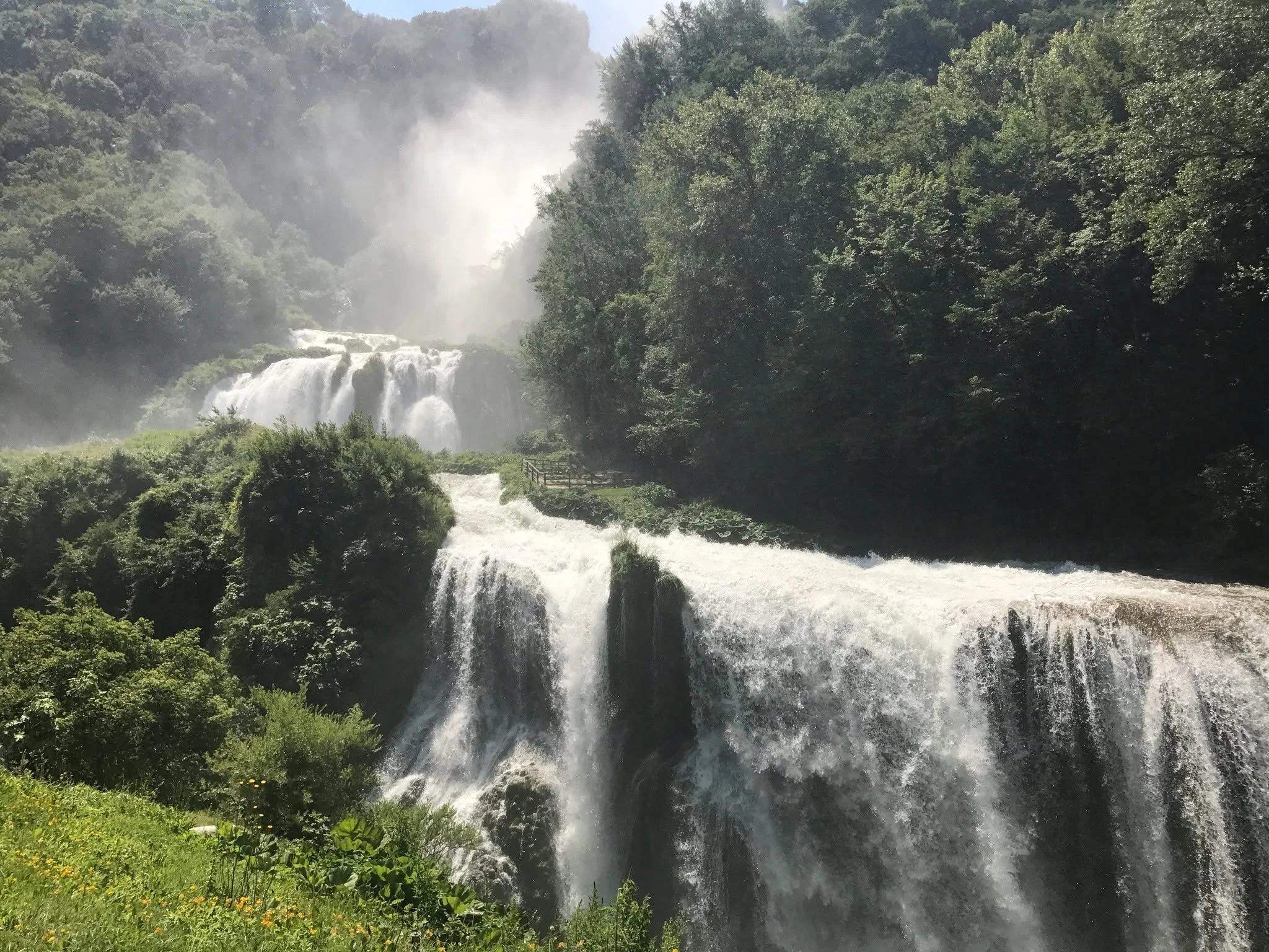 Anointing is fundamentally a deeply embodied practice. Unlike simply inhaling an essence or diffusing it into a room, anointing requires deliberate touch&mdash;the application of oil to specific points on the body with conscious intention. 

This tac