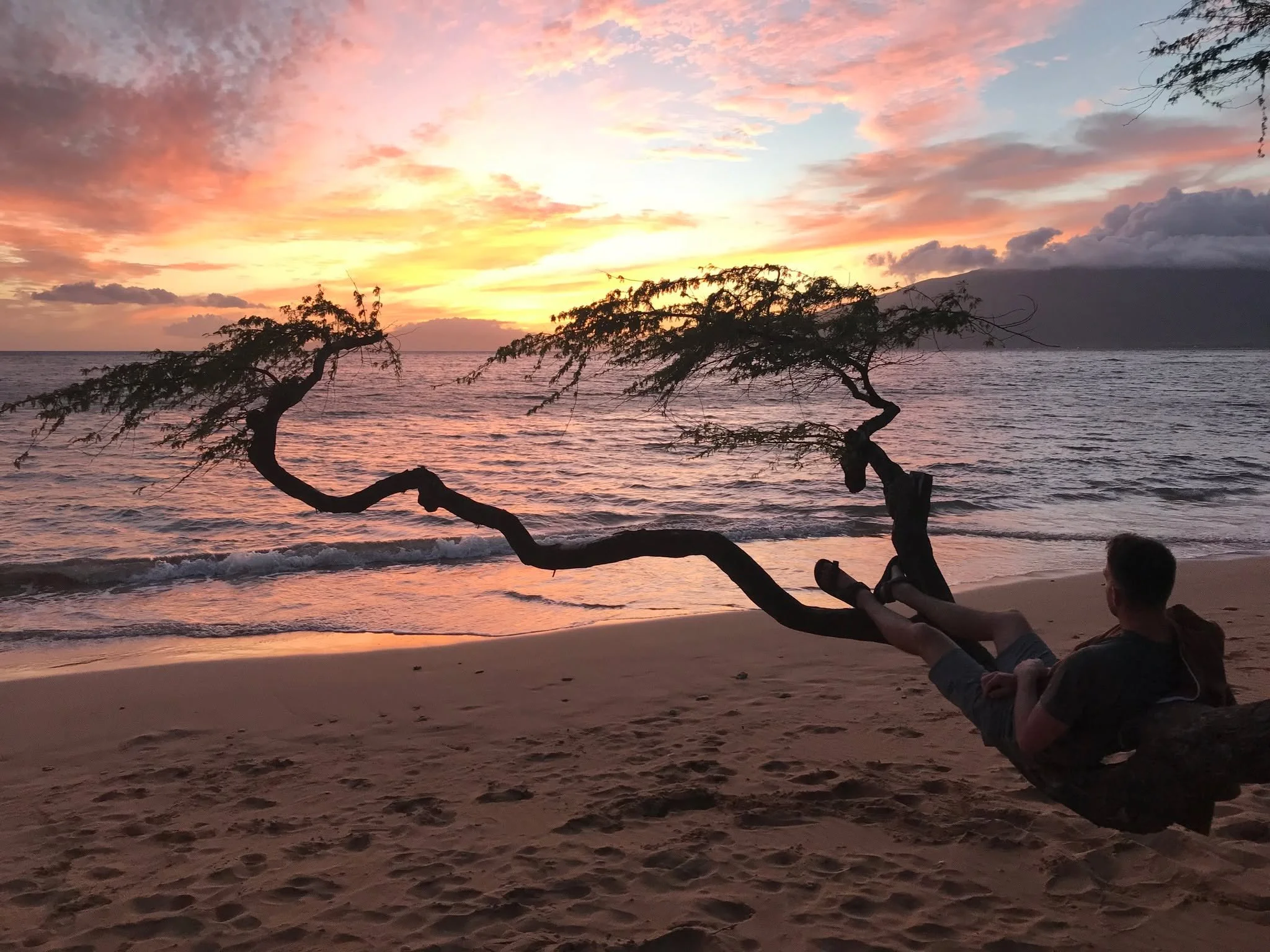 Anointing is the work of spiritual alchemy: transformation through relationship. 

The marriage of substances to birth new consciousness.

Each plant essence carries its own intelligence&mdash;its own subtle frequency.
 
When I blend dozens of rare b