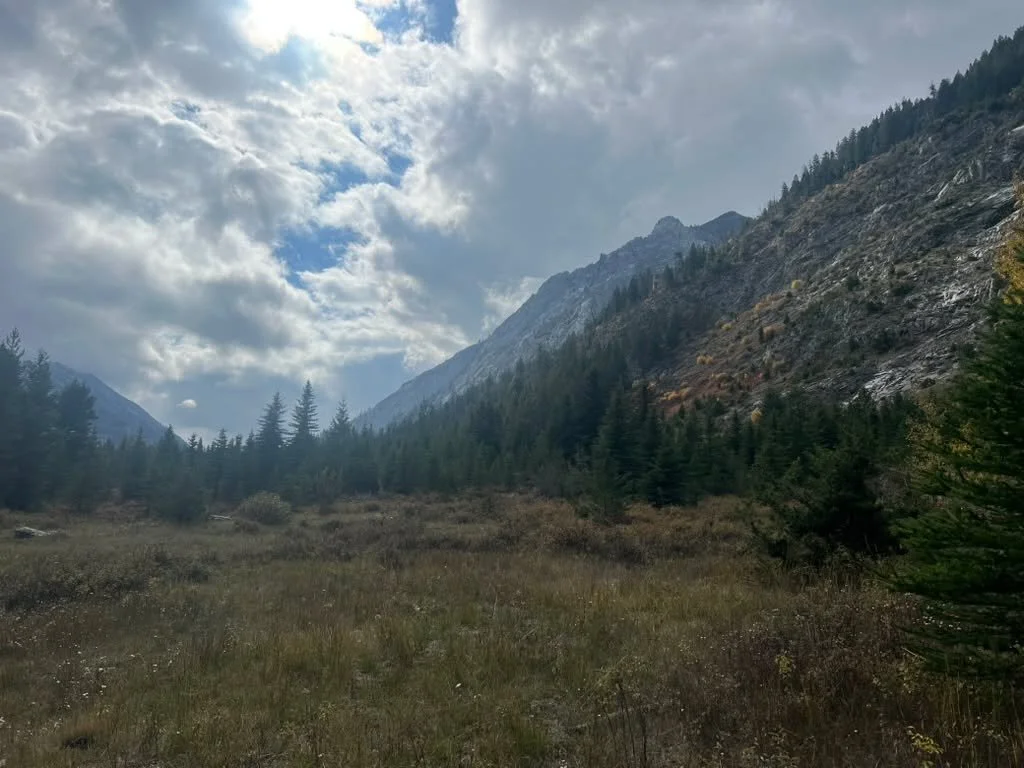 Save up to 40% off all my online courses and downloadable ebooks this week! 

Also: The mountains are my favorite place to be, and this picture was taken in some special ones recently.

go to alchemessence for the courses: shamanism, alchemy, nature 