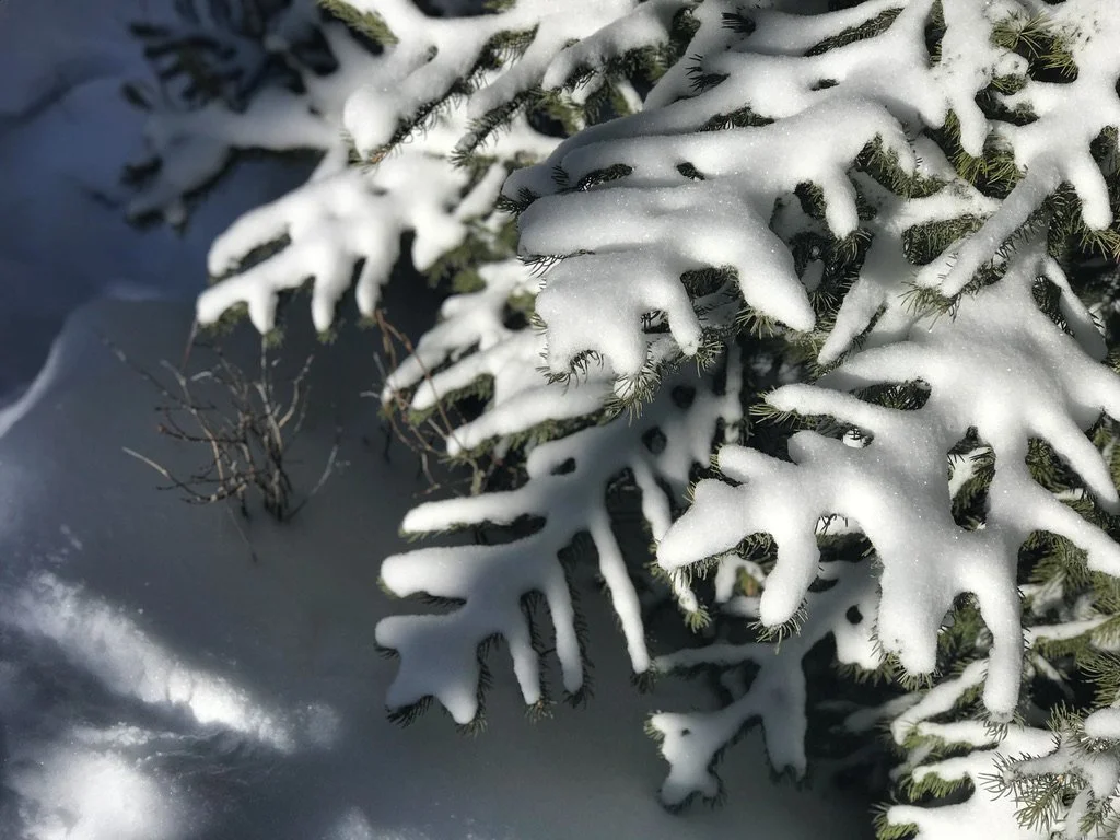 Soul restoration isn't about healing what's broken.
It's not about retrieving what's lost.
It's about paradox. Acknowledging that even if you feel fragmented&hellip;
You are whole. Right now. In this moment.
The work isn't to fix yourself.
The work i