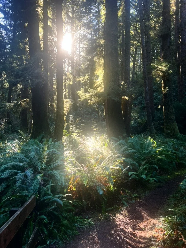 Gatekeeping in spiritual traditions is everywhere.

Transcendental meditation and secret mantras.
Oral traditions and NDAs.
Prerequisites and elite pricing structures.
Vows of secrecy and proving your readiness.

There&rsquo;s something almost tantal