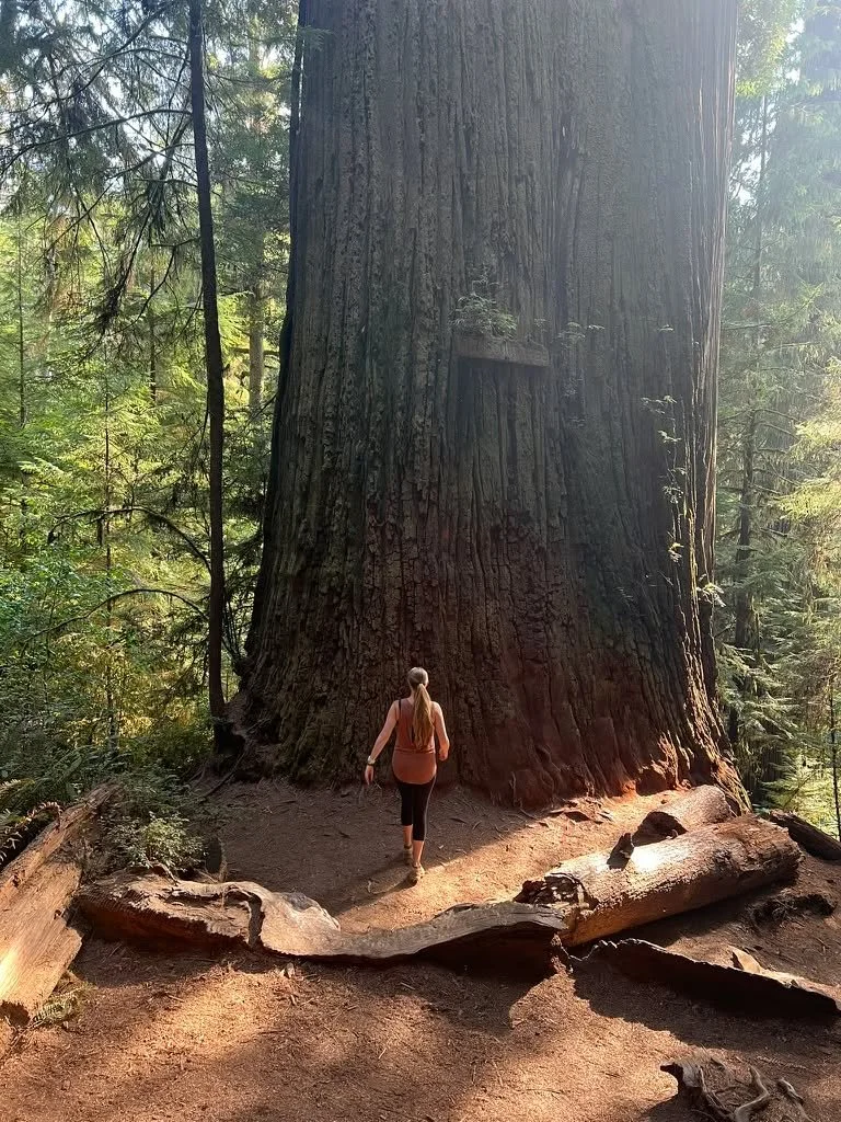 Every tradition that hasn't been flattened by Western psychology or colonized by academic frameworks knows a truth about the spiritual path: You don't start with the otherworlds. You start with the ground beneath your feet.

Before any of the extraor