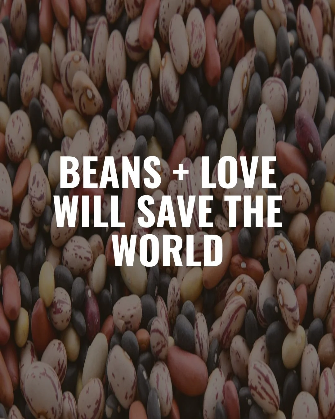It's true. Ready why in my latest article - link in bio :)

#beans #ranchogordo #yourartmatters #dowhatyoulove #raiseyourvibration