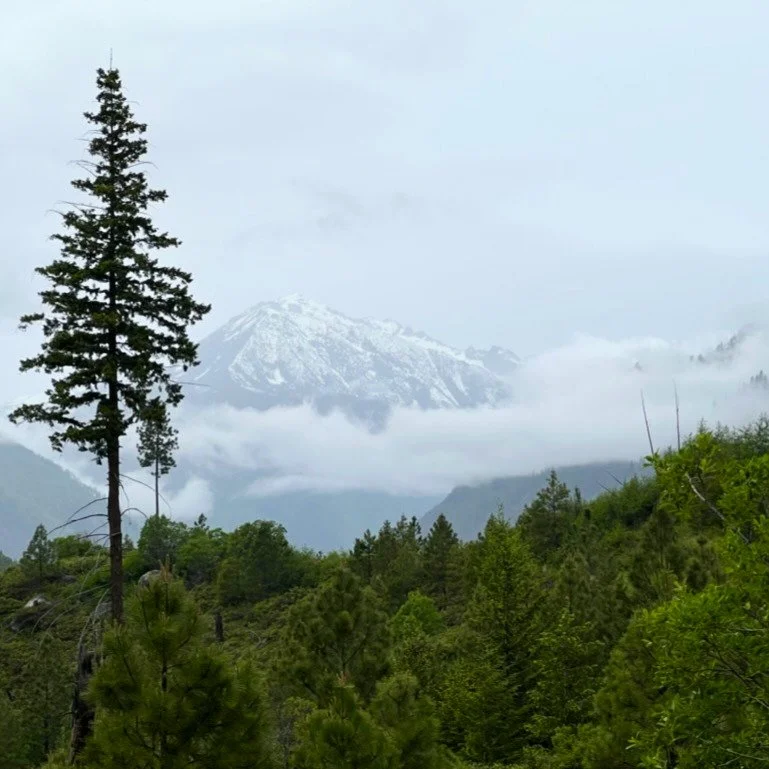 I&rsquo;m not immune to the threats of collapse consciousness and economic insecurity. Survival is always at least in the back of my mind if not the forefront. I&rsquo;m very familiar with how challenging it can be to shift out of fear and find enoug