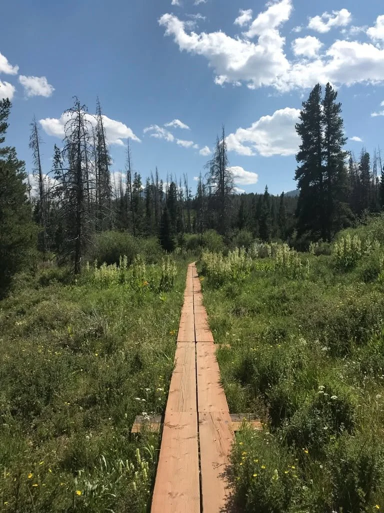 How many times have you sat down to write something complex &mdash; a synthesis of research, your opinions and thoughts and theories&hellip;

And the writing process itself changed your mind? 

Even with all the existing evidence laid before you, you