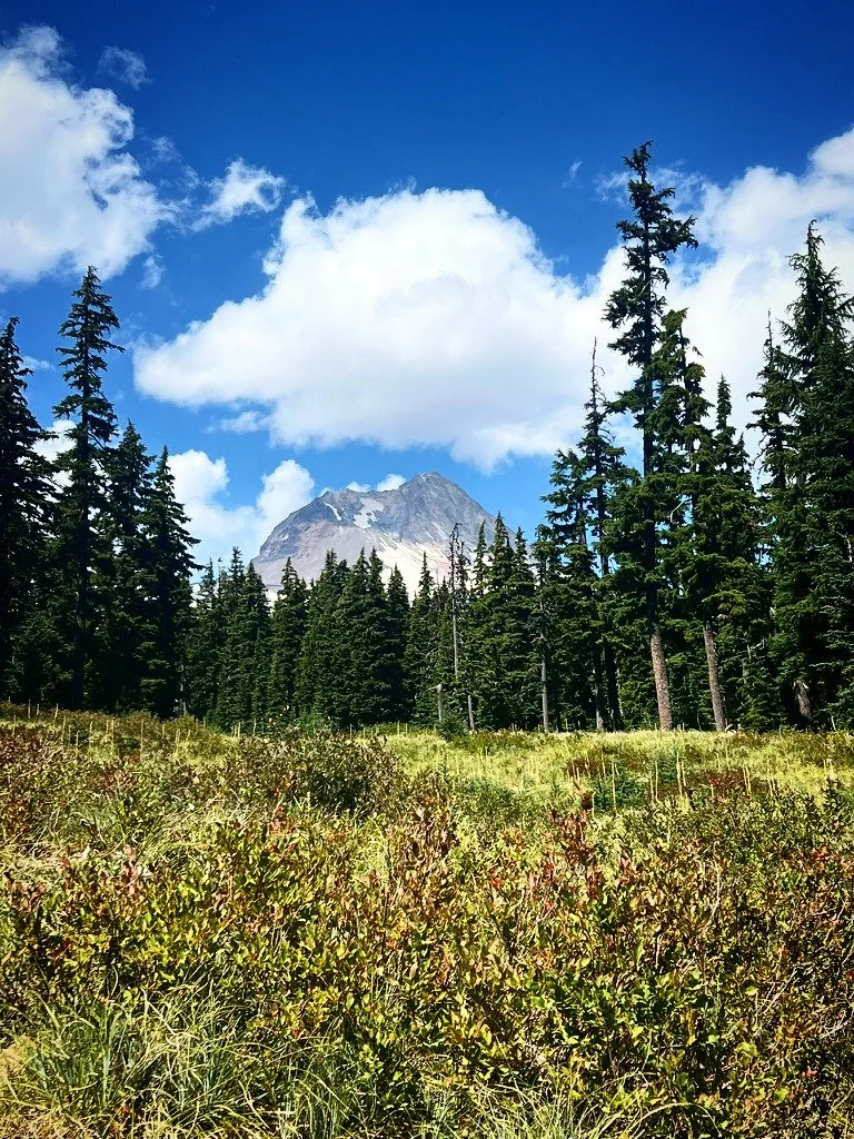 We are living through what many are calling the polycrisis: the simultaneous unraveling of ecological, economic, political, and social systems that have held the world together.

The old structures are dissolving. The things we took for granted &mdas