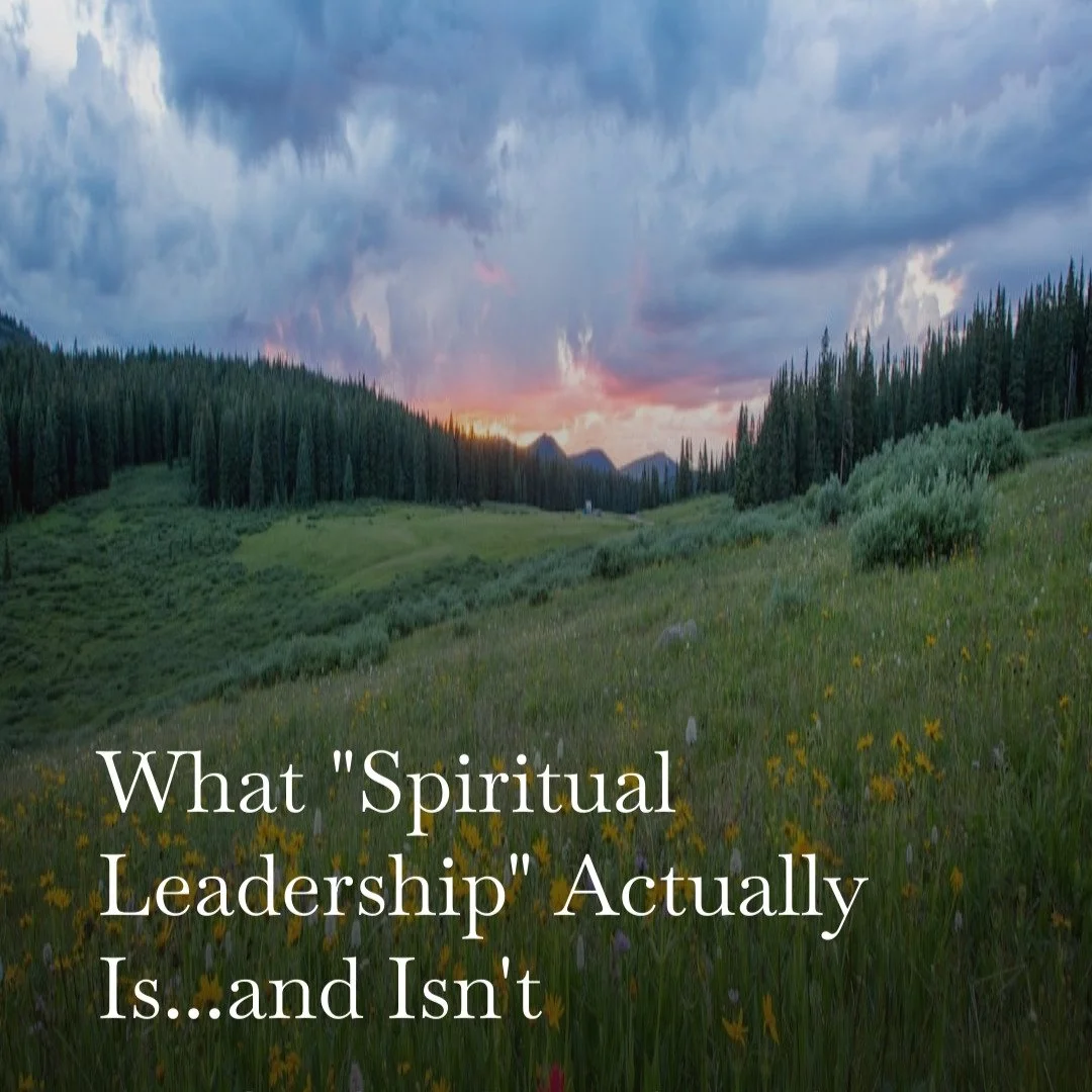 new on the substack. 

Hint: old leadership attracts dark triad personalities. 

that's not what we're doing here ;)

#leadership #spiritualleadership #earthday #newera #metamorphosis #inneralchemy