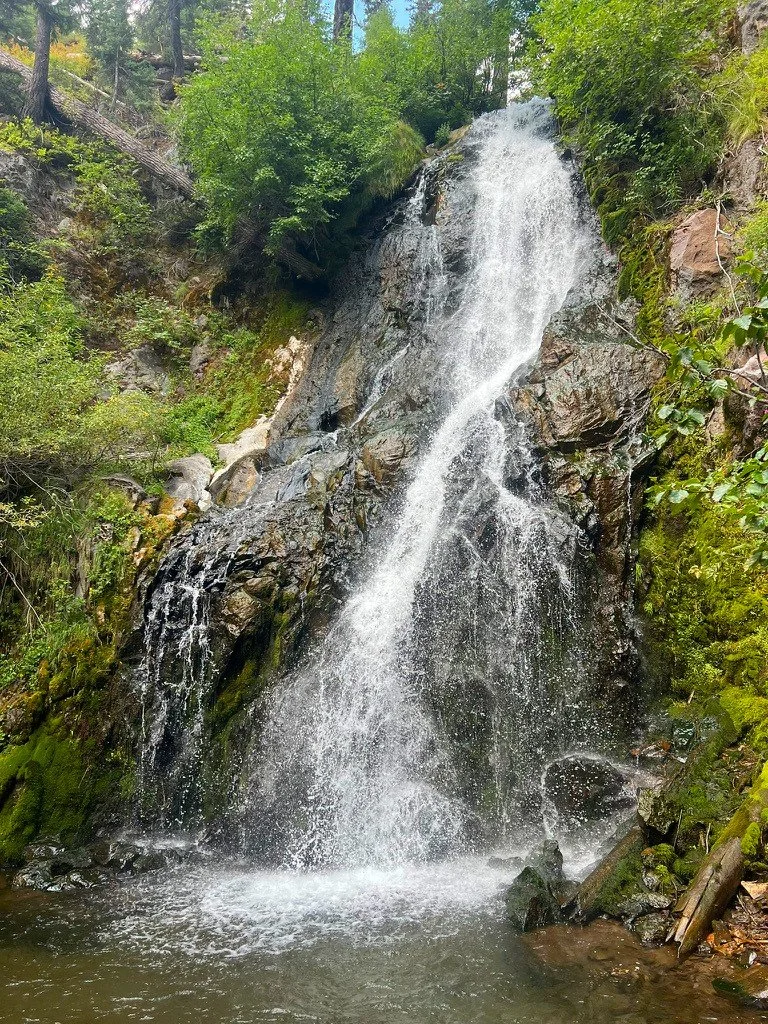 I'm really looking forward to Wednesday's free workshop all about healing our soul connection with the Earth. Over 100 folks have signed up which fills my heart with joy. 

Are you in??? It's at 4pm PT and there will be replay if you cant come live ?