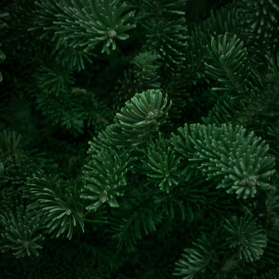 54.png