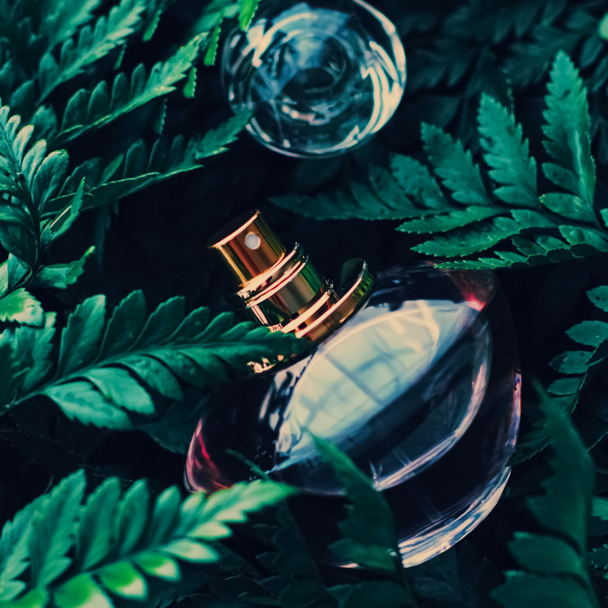 Bespoke Botanical Perfume