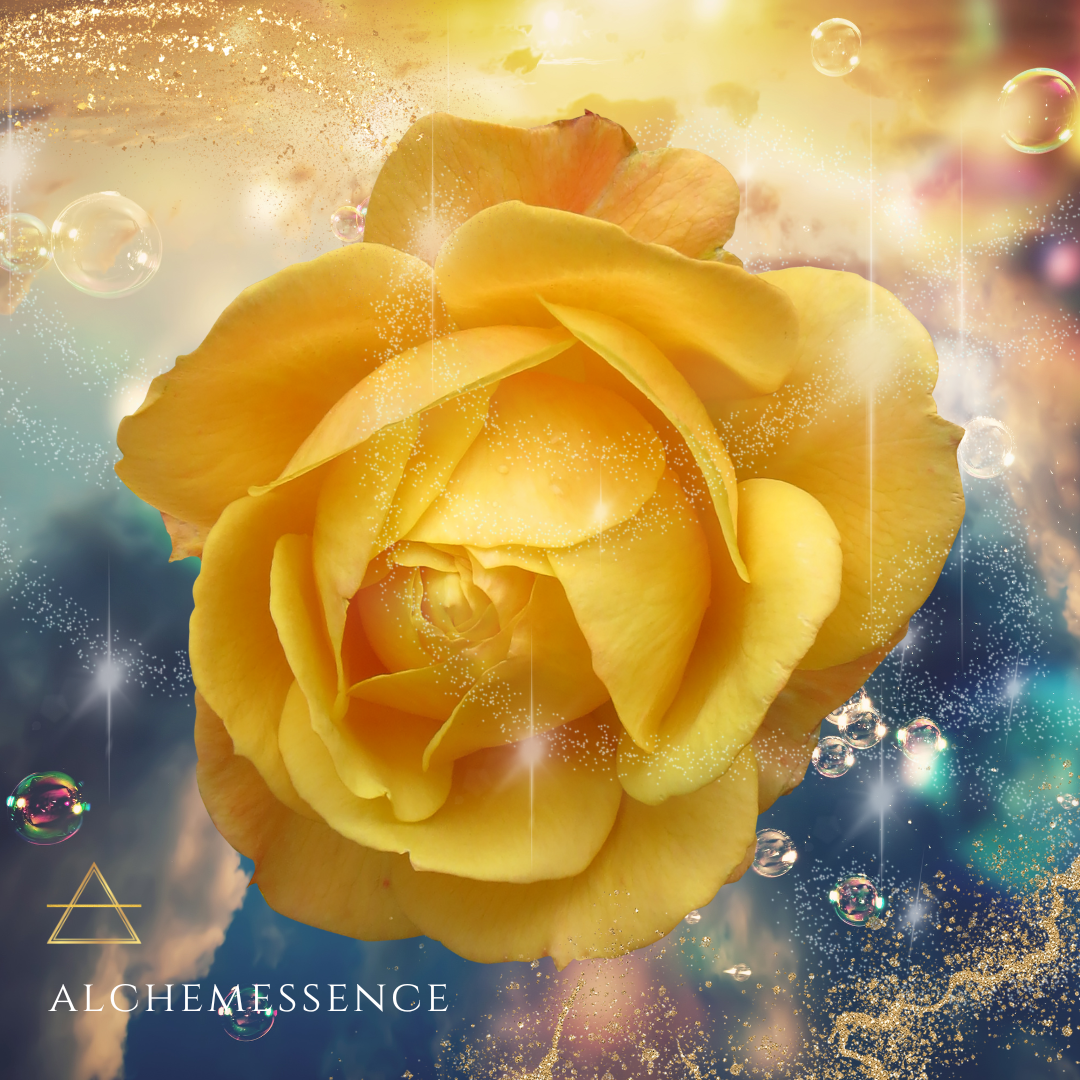 yellow rose.png