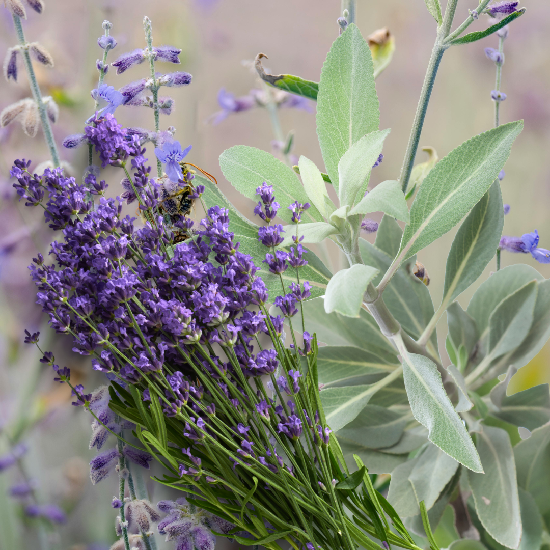 Untitled design(53).png