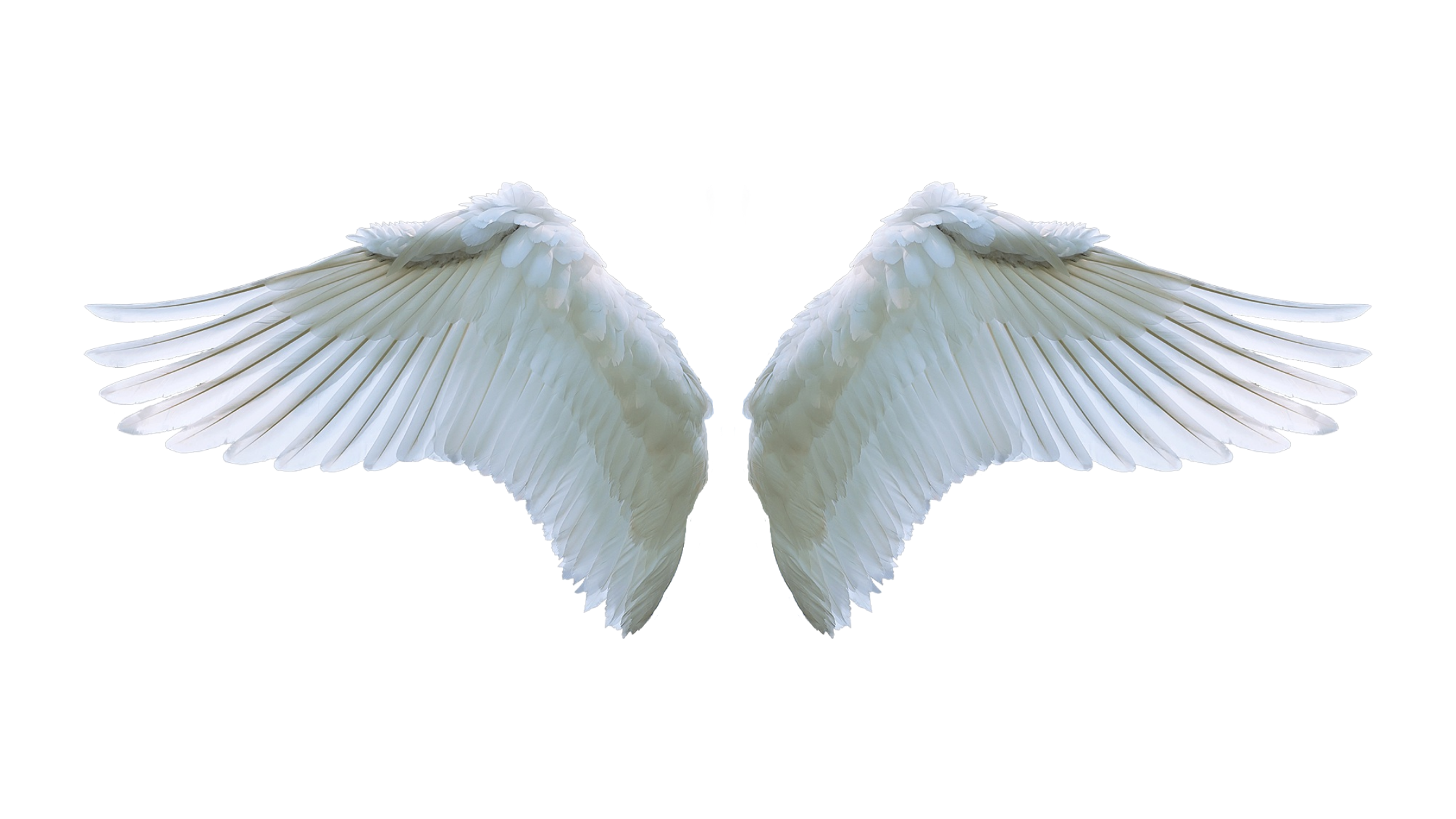 8.png
