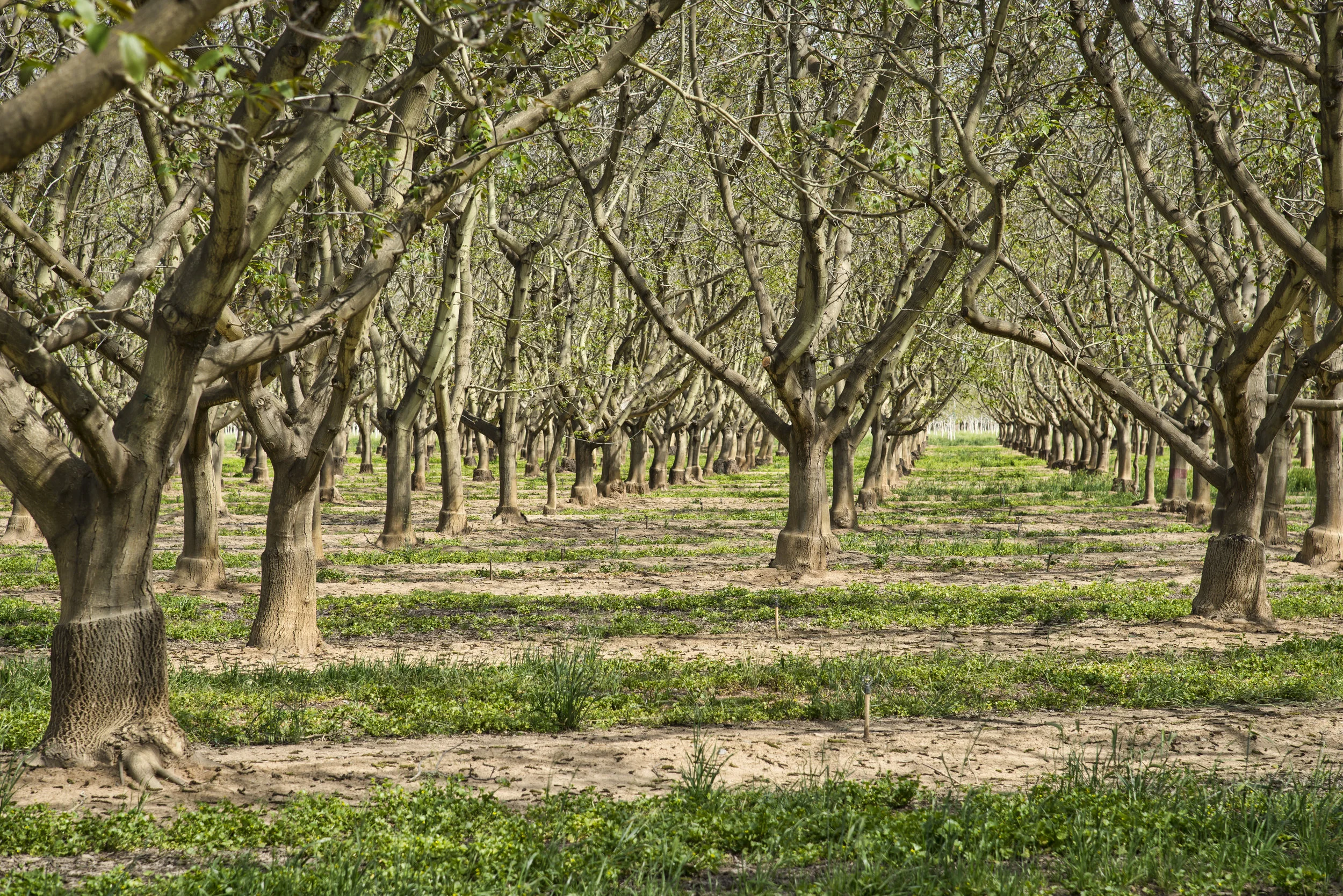 6 Common Money Mistakes Farm Families Should Avoid