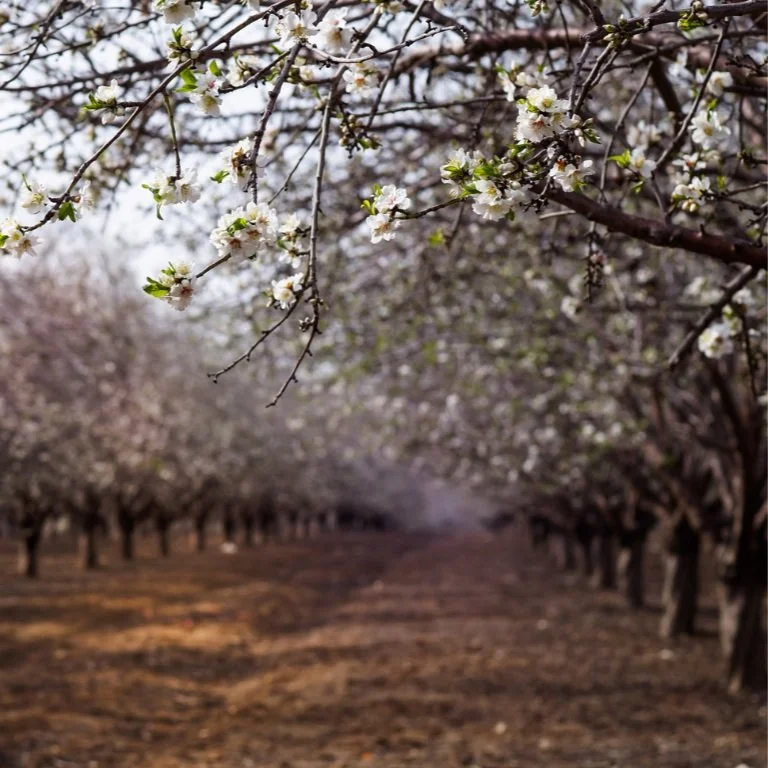 Market Chill Fades: Strong April Data Points to a Sunny Outlook