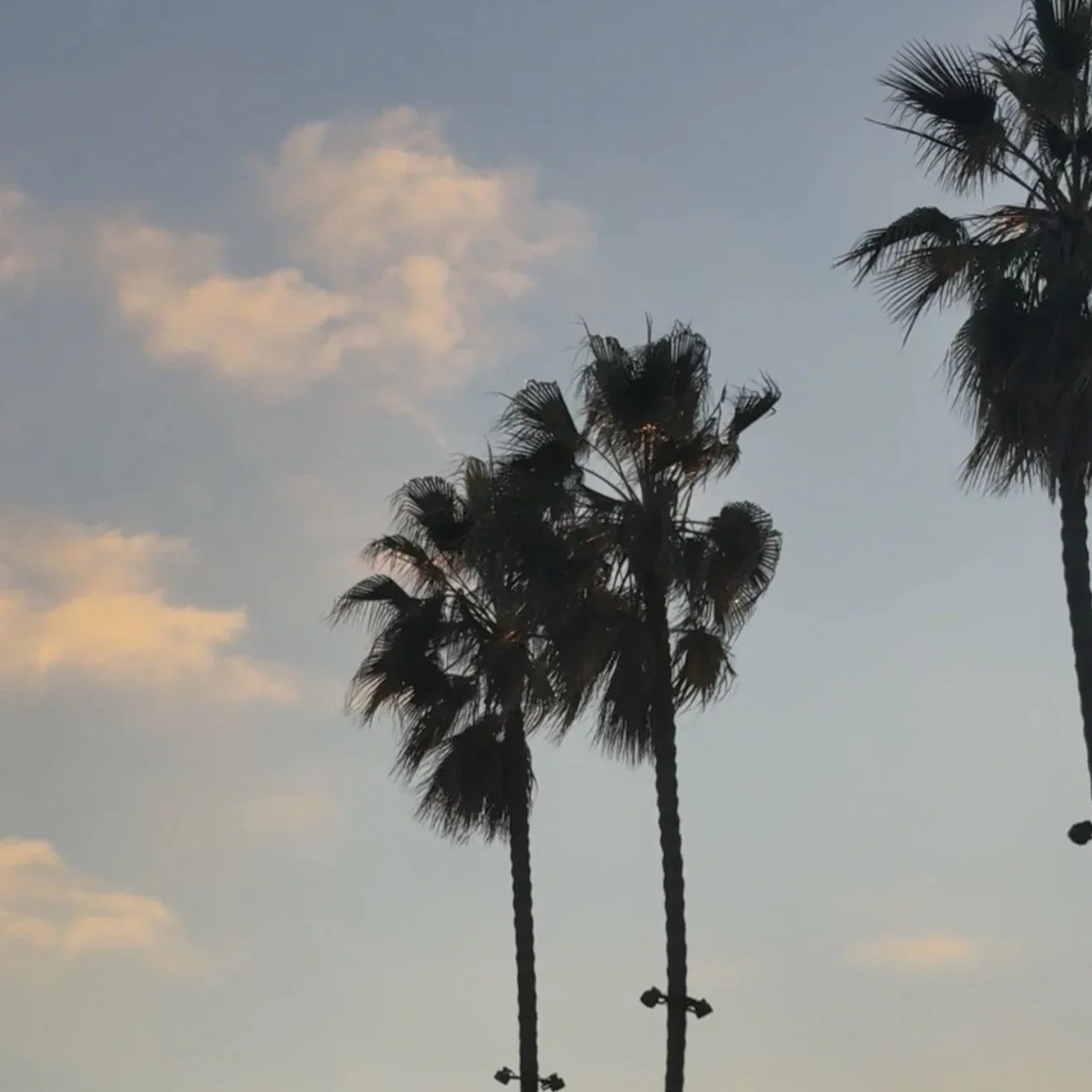 The Tide Rolls Out on California’s Budget 